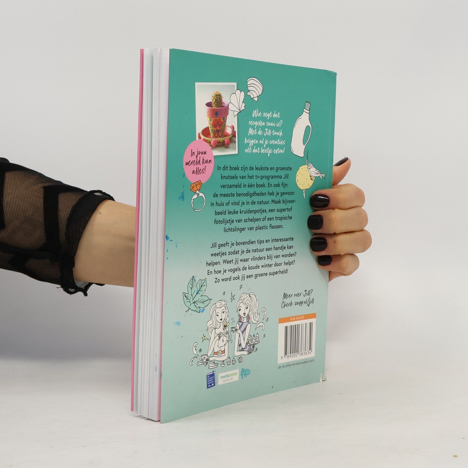 Jill Schirnhofer Het knutselboek van Jill