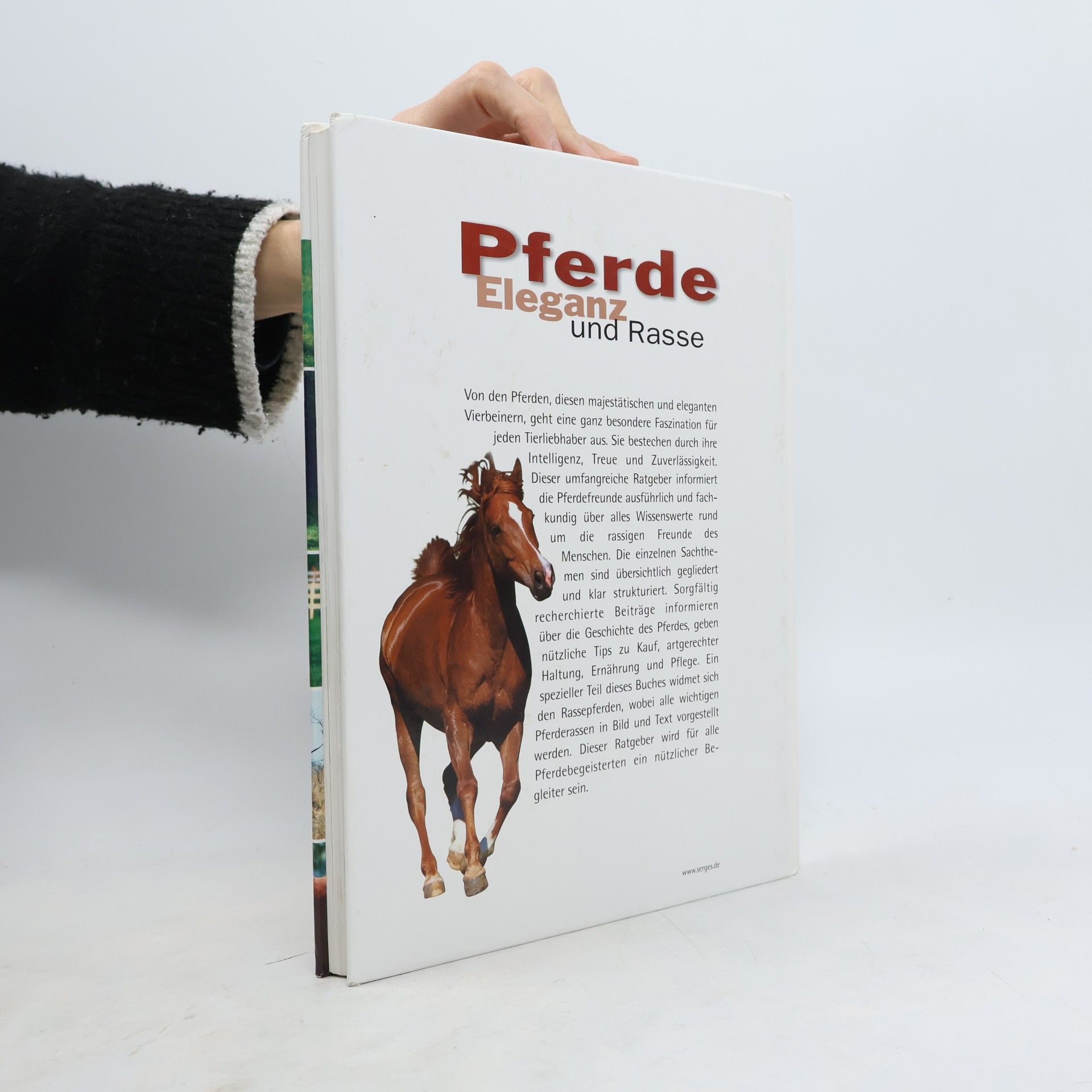 Autorenkollektiv Pferde. Eleganz und Rasse