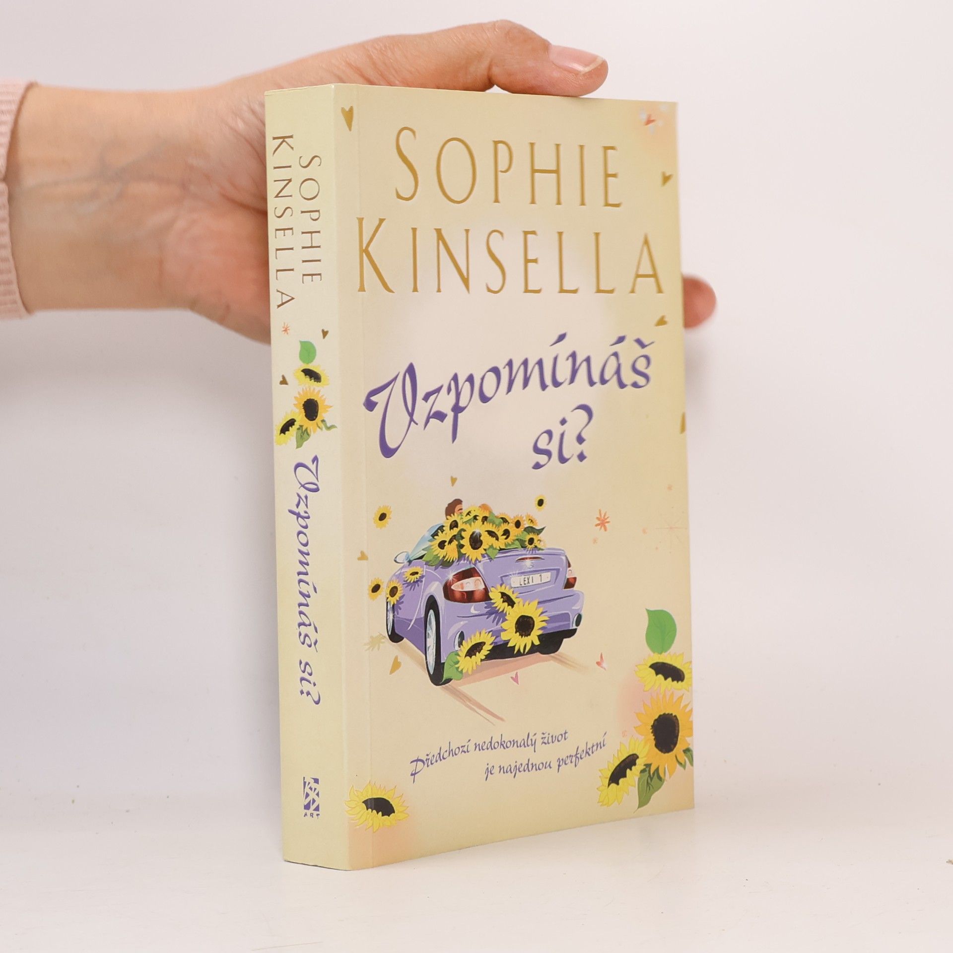 Sophie Kinsella Vzpomínáš si?