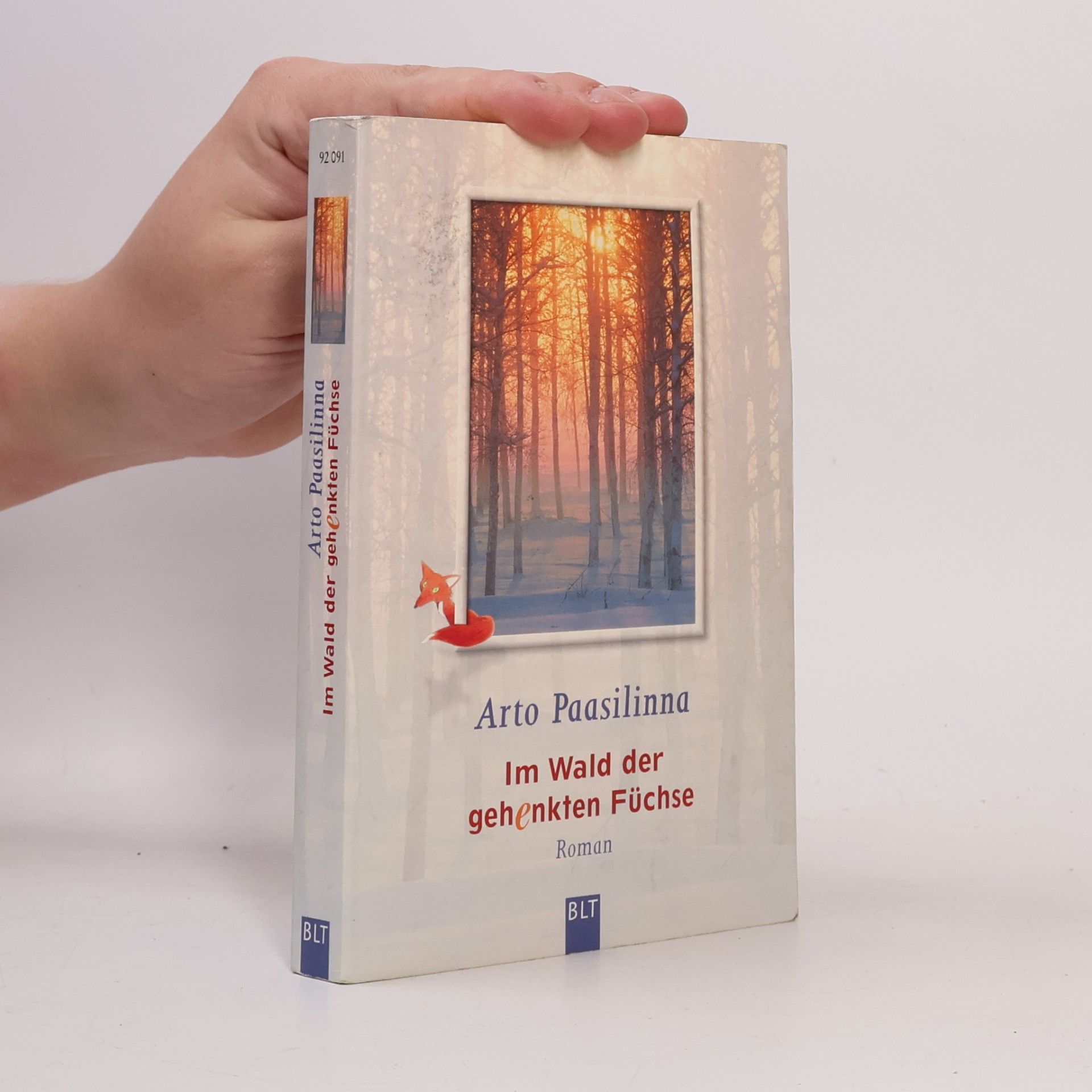 Arto Paasilinna Im Wald der gehenkten Füchse