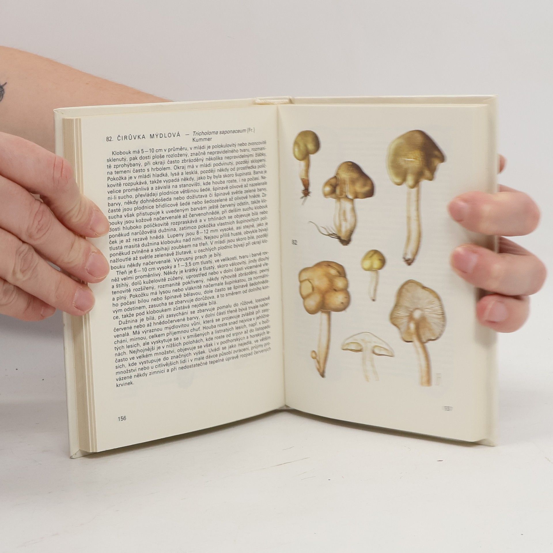 Antonín Příhoda Kapesní atlas hub 1
