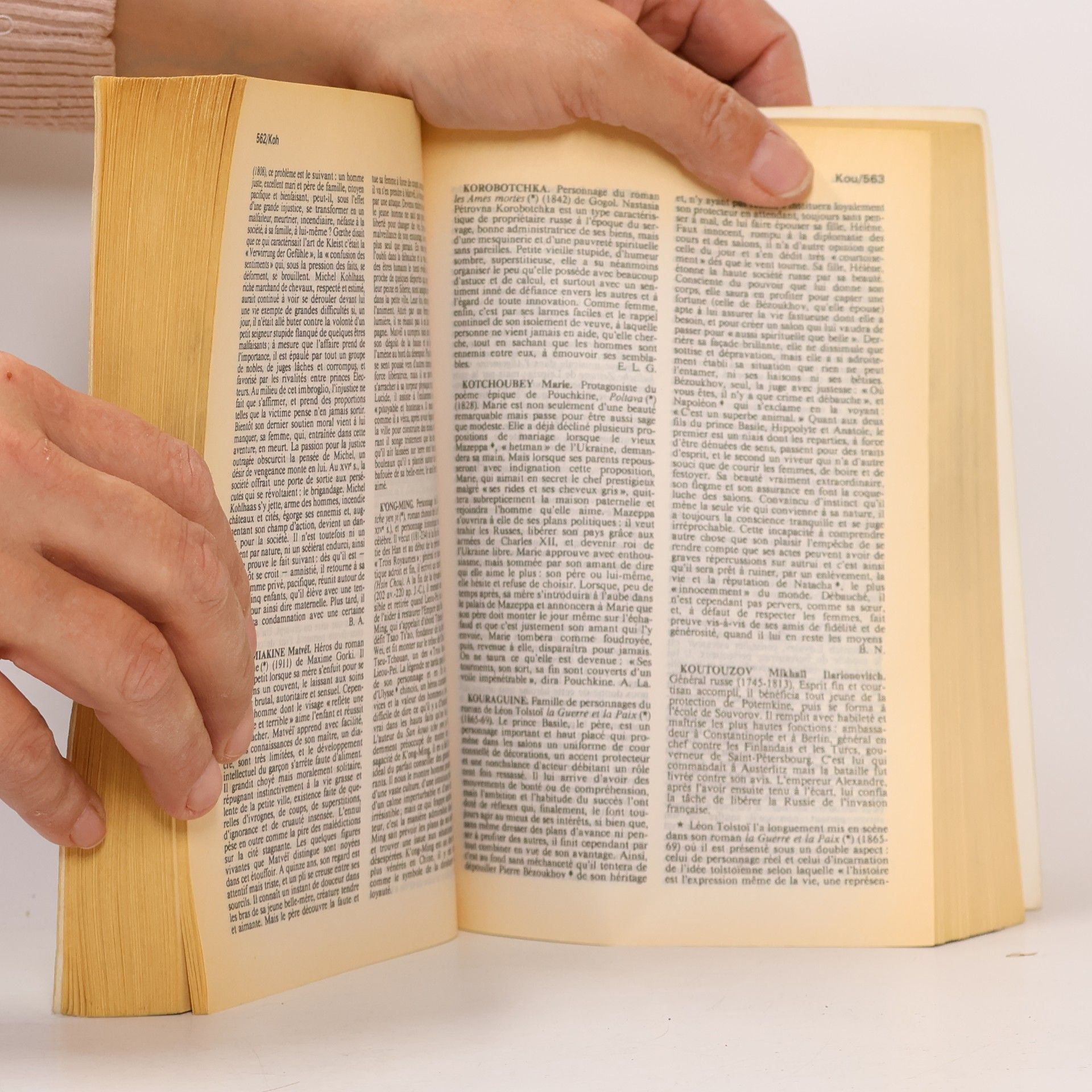 Robert Laffont Dictionnaire des personnages