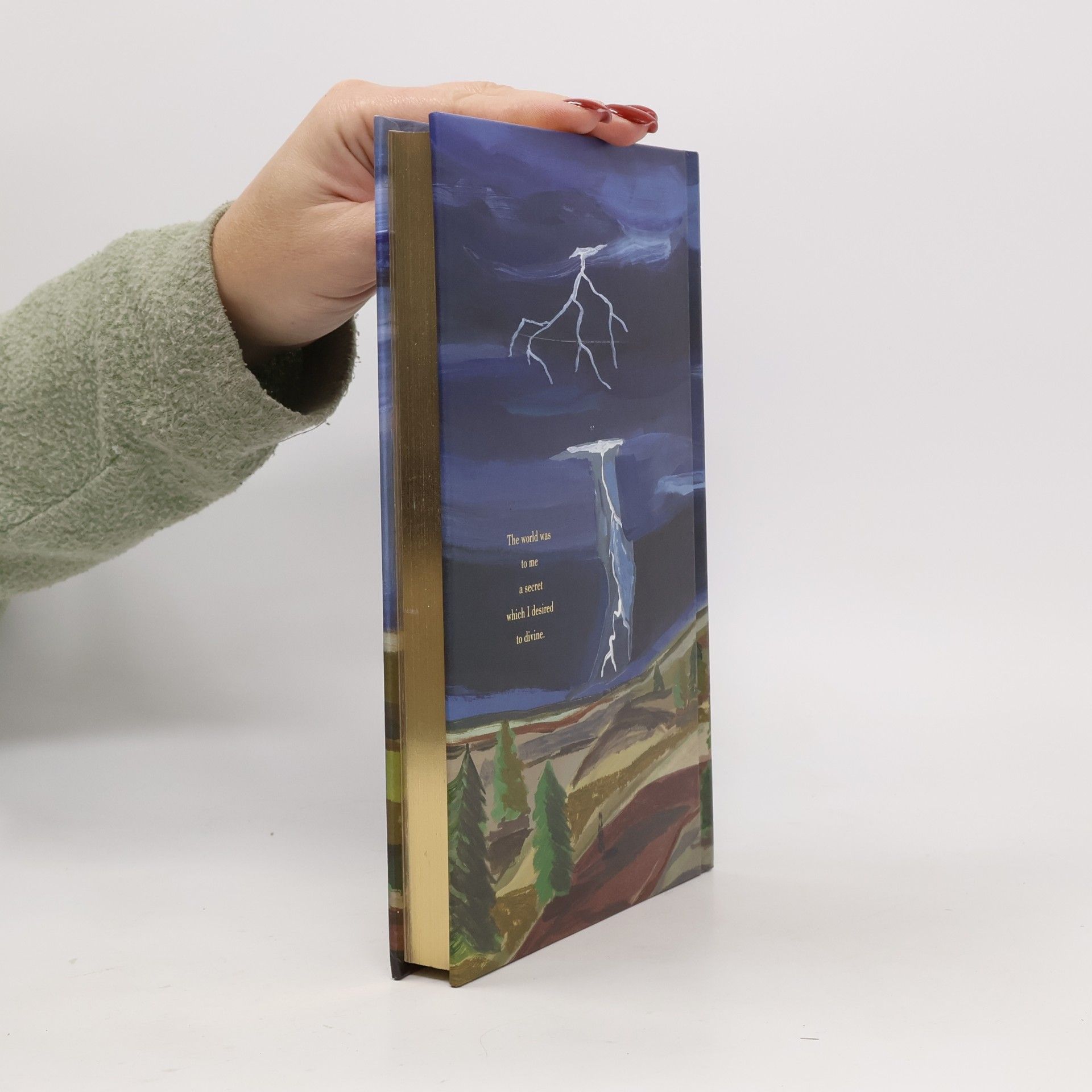 Mary Shelley Frankenstein (Pretty Books - Painted Editions)