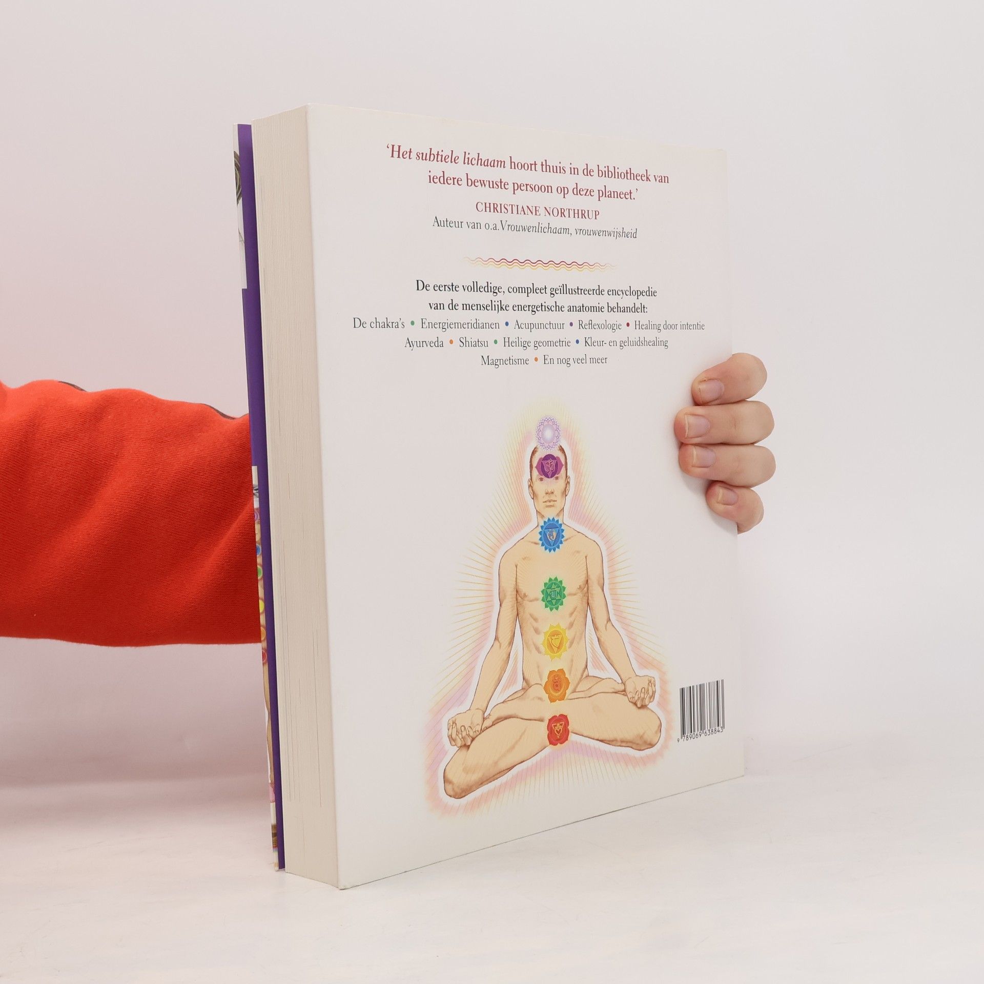 Cyndi Dale Het subtiele lichaam, een encyclopedie van de energetische anatomie