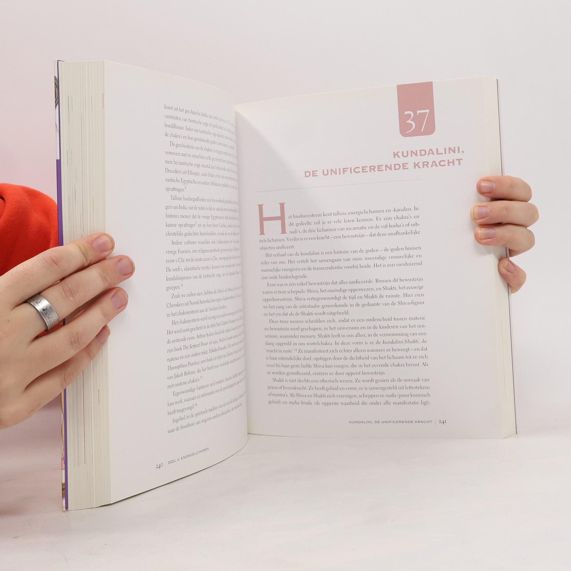 Cyndi Dale Het subtiele lichaam, een encyclopedie van de energetische anatomie