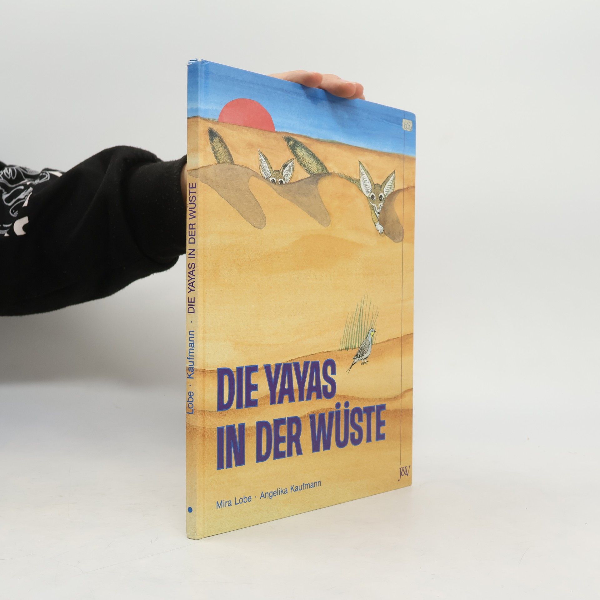Die Yayas in der Wüste