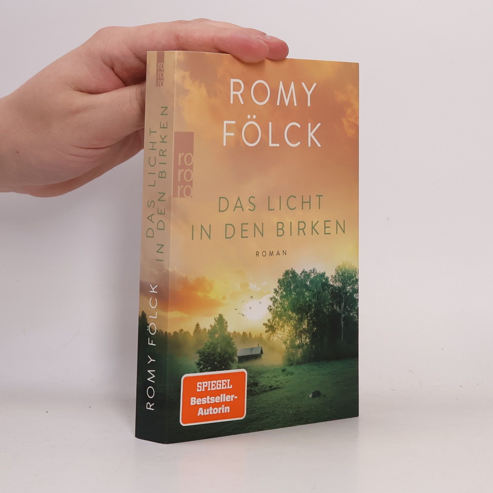 Das Licht in den Birken