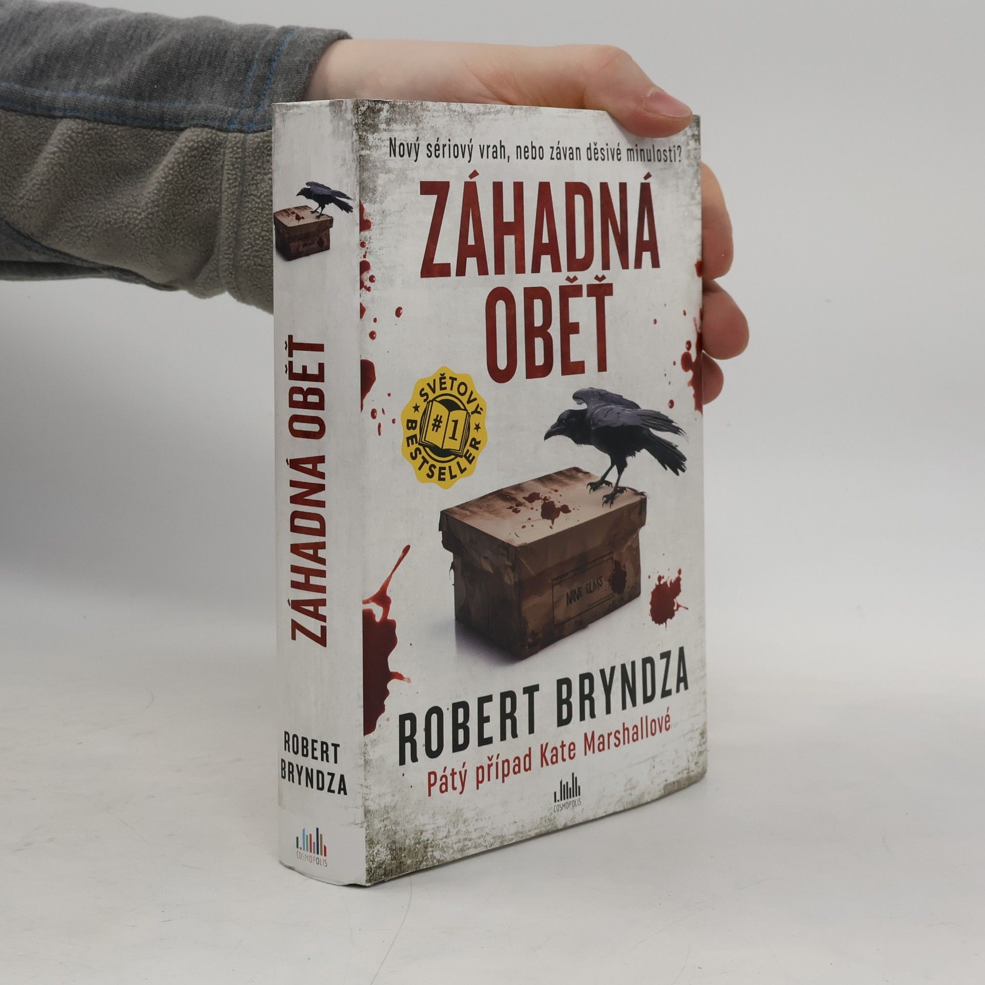 Robert Bryndza Záhadná oběť