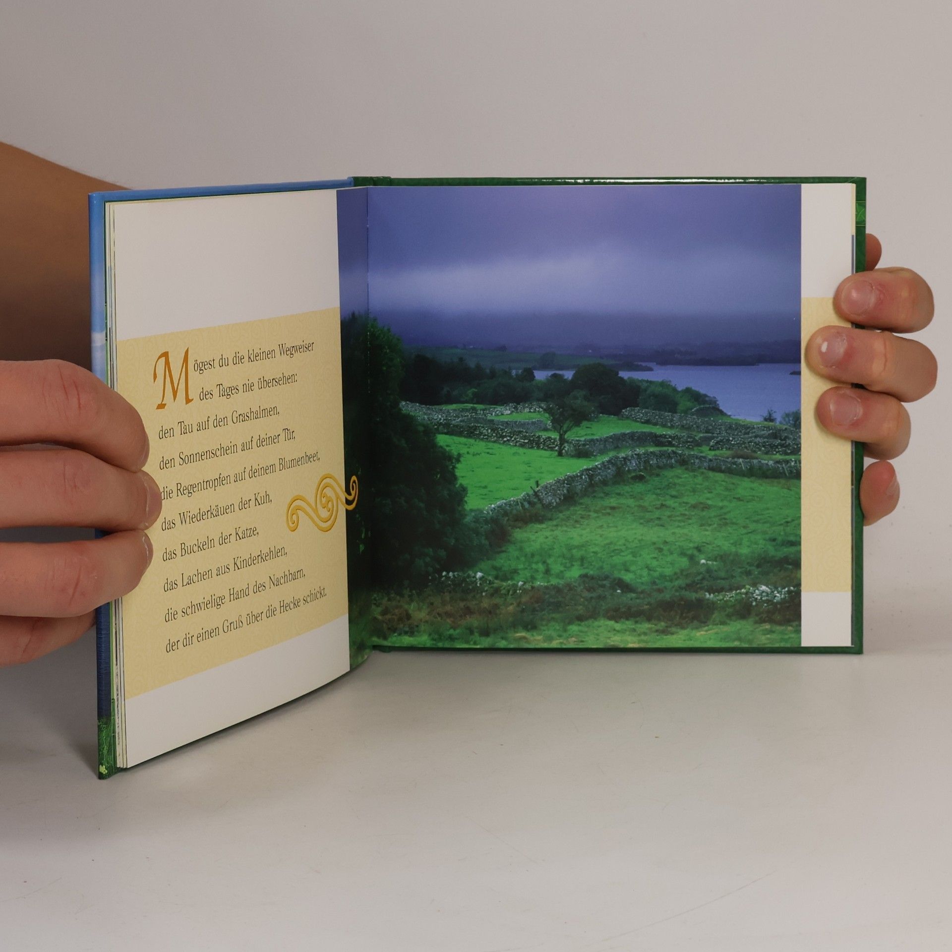 Kolektiv autorů Das kleine Buch der irischen Segenswünsche