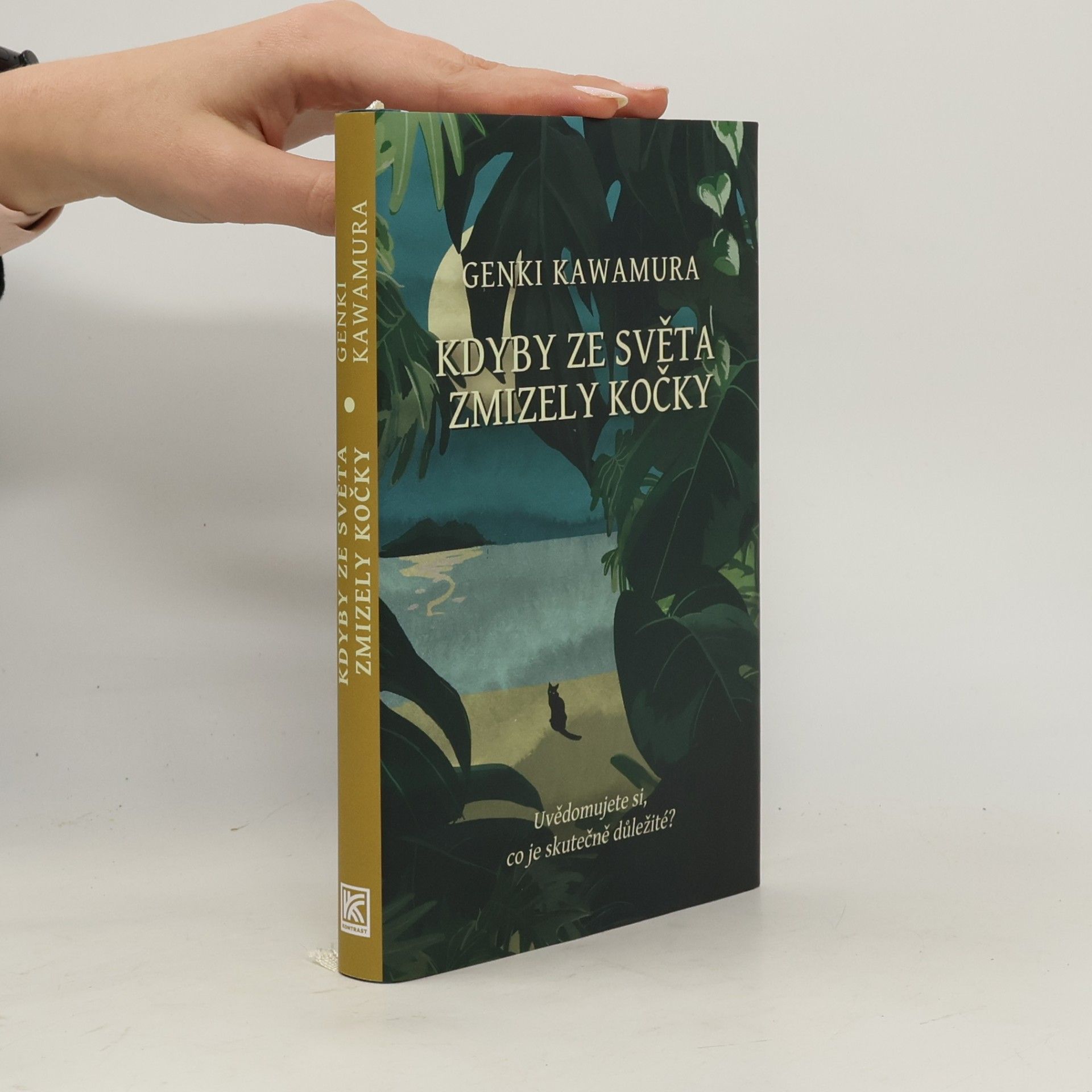 Kdyby ze světa zmizely kočky
