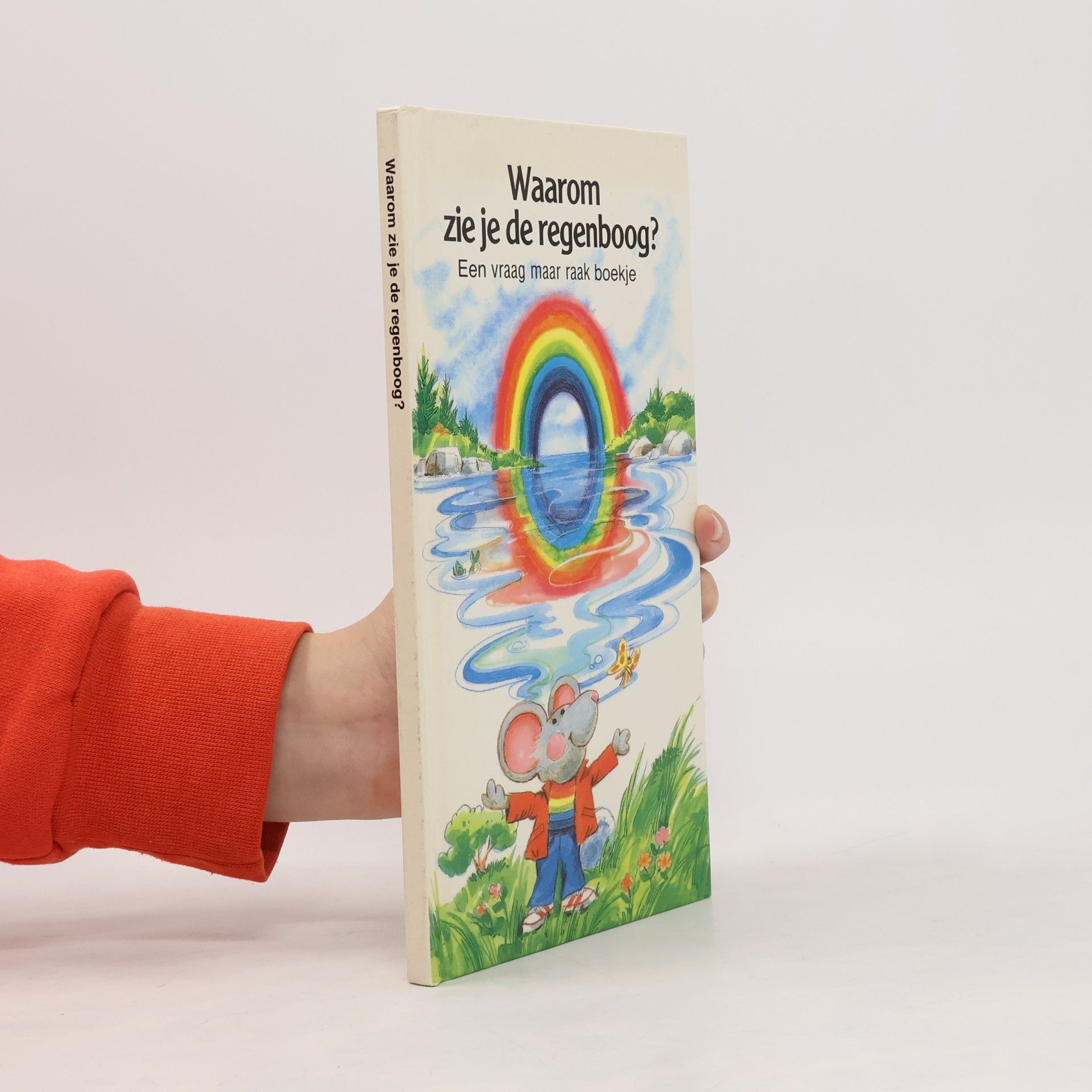 Waarom zie je de regenboog?