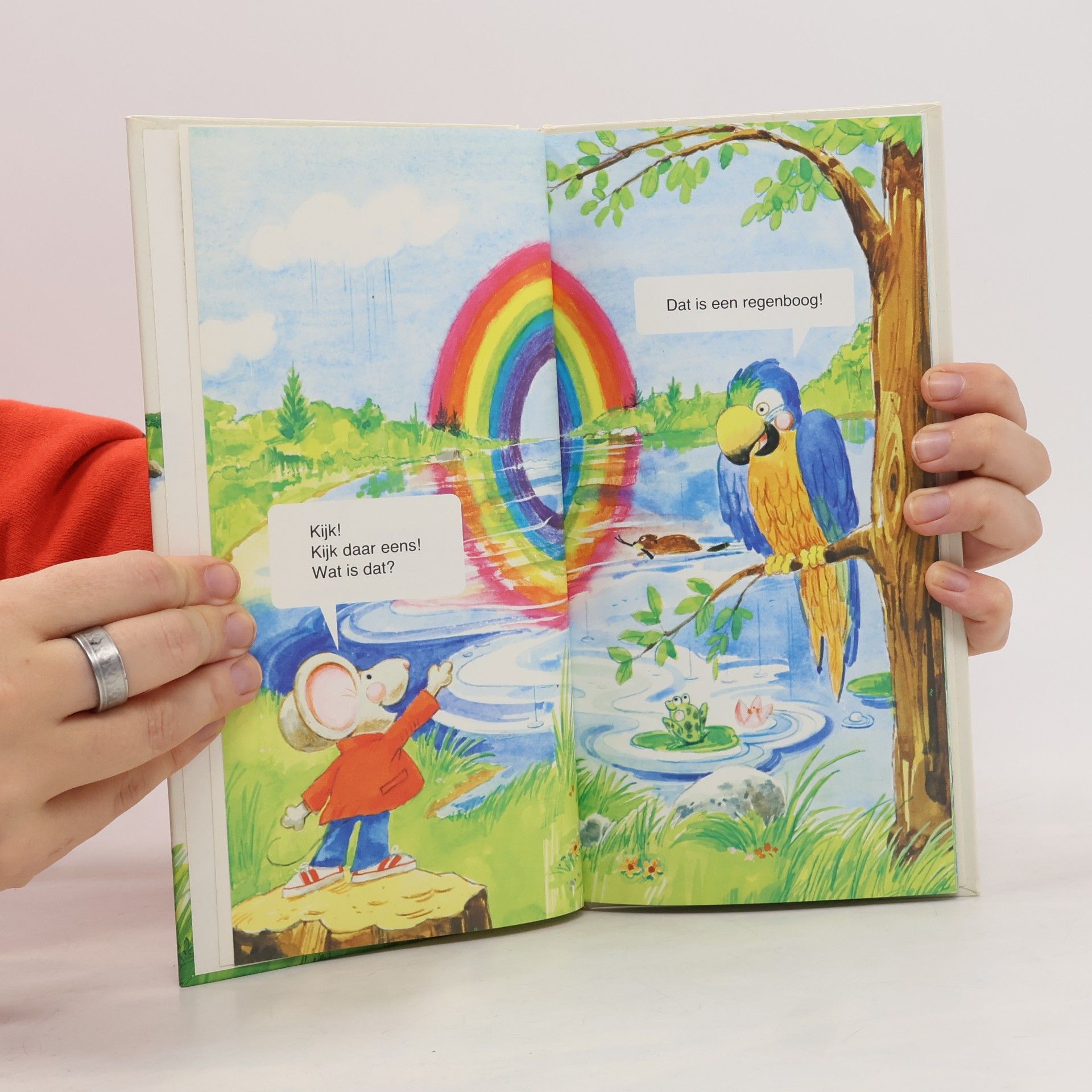 Chris Arvetis Waarom zie je de regenboog?