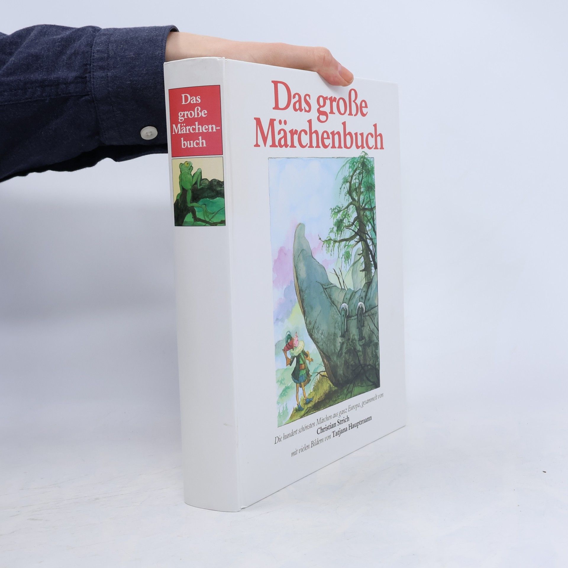Das grosse Märchenbuch