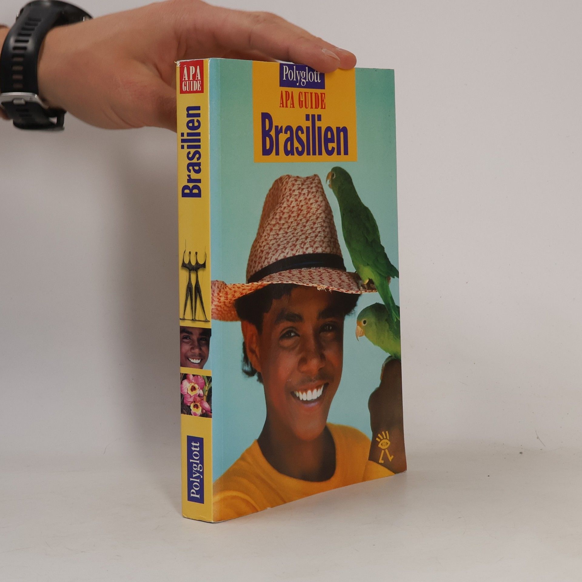 Various authors Brasilien