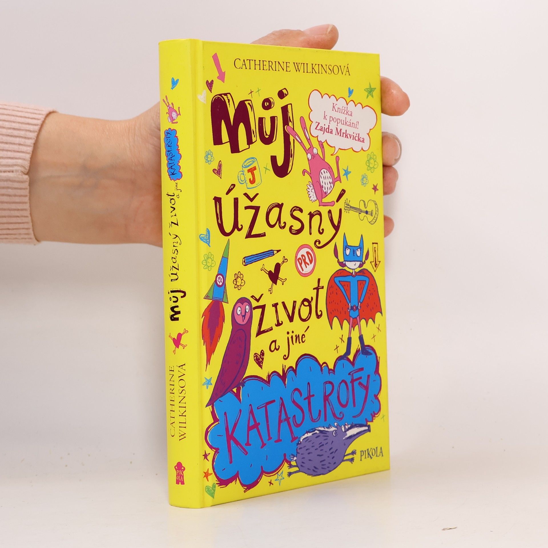 Můj úžasný život a jiné katastrofy