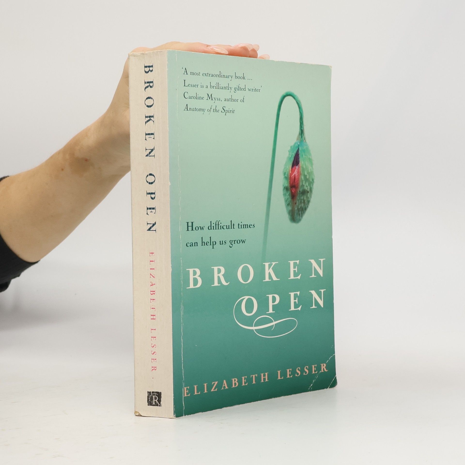 Elizabeth Lesser Broken Open
