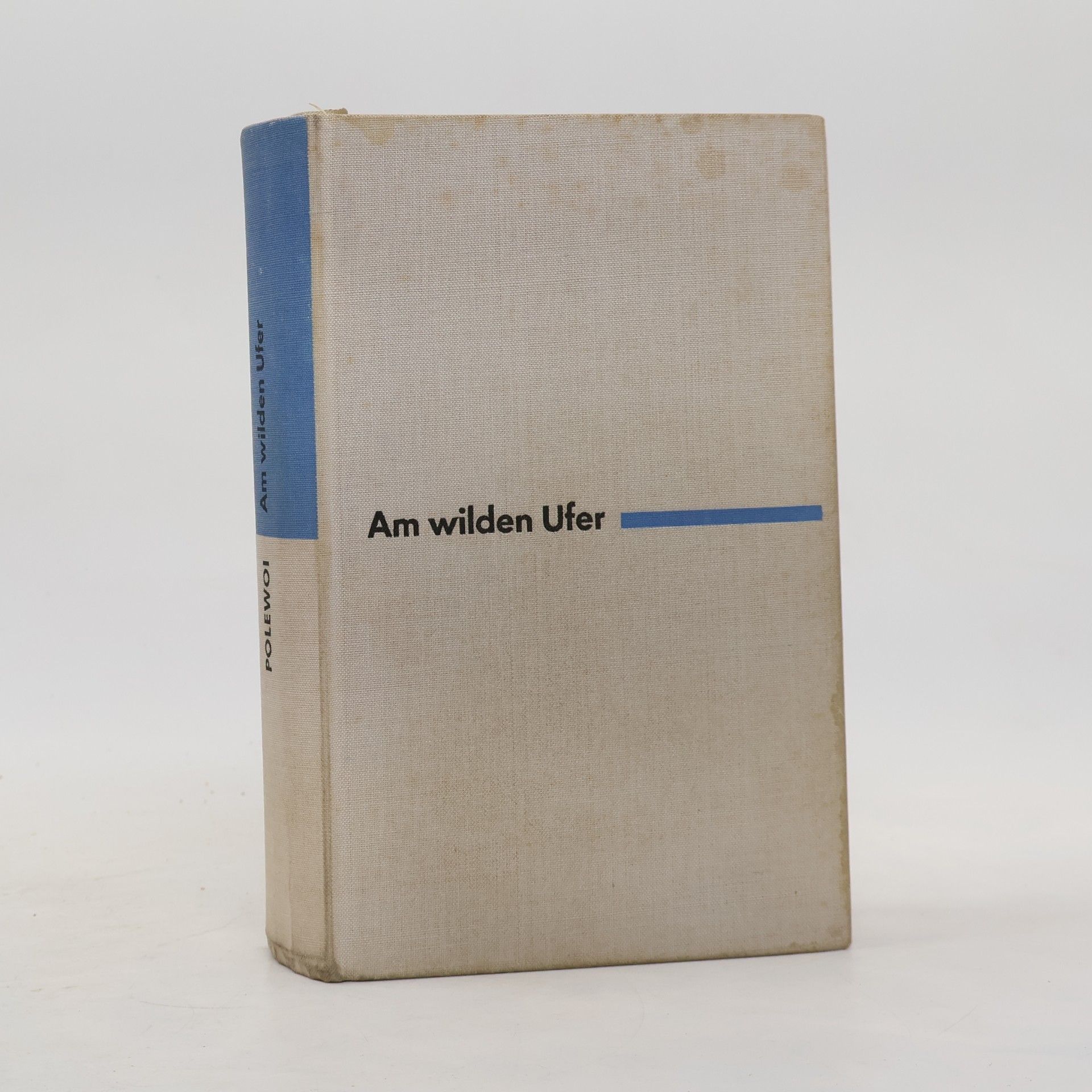 Boris Polewoi Am wilden Ufer