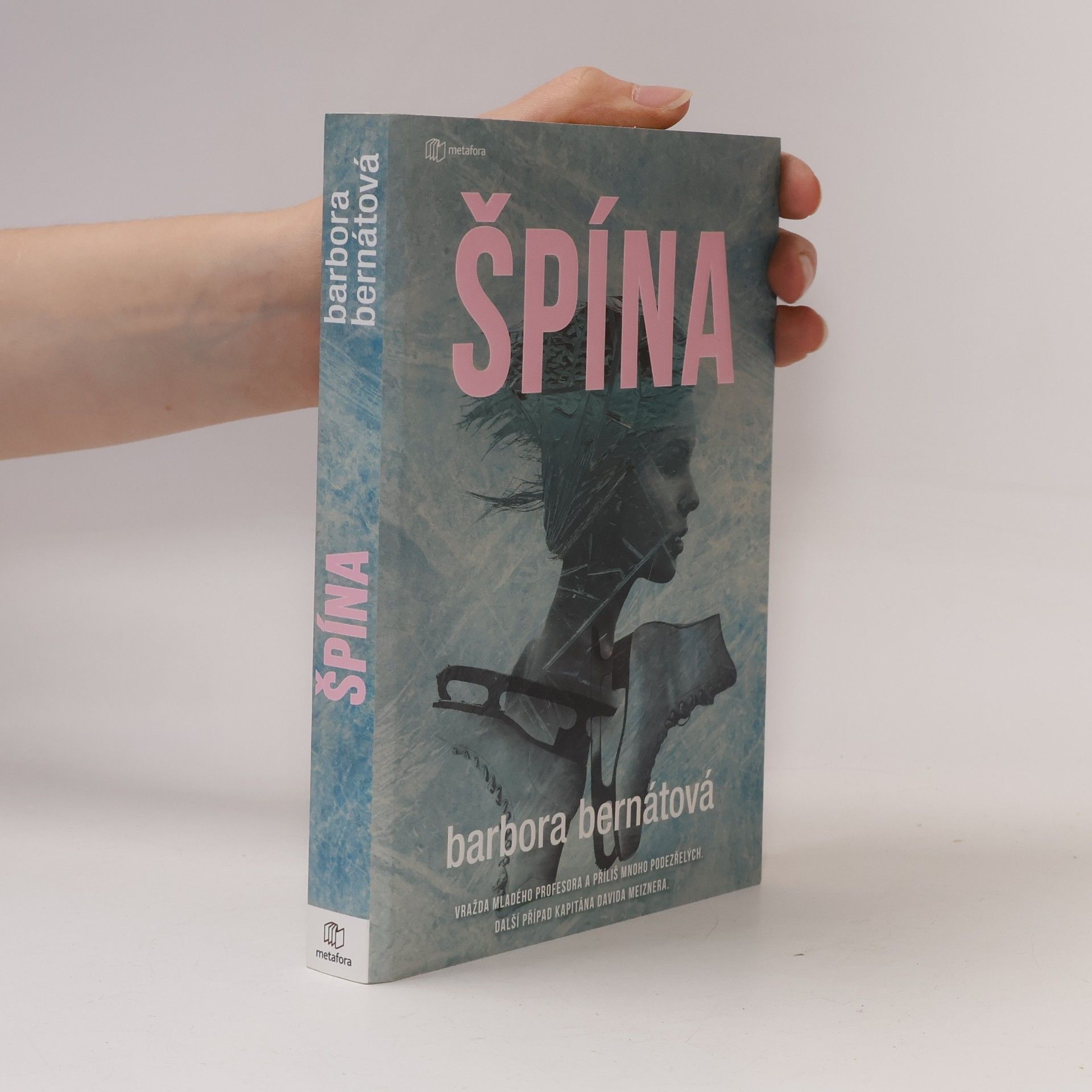 Špína