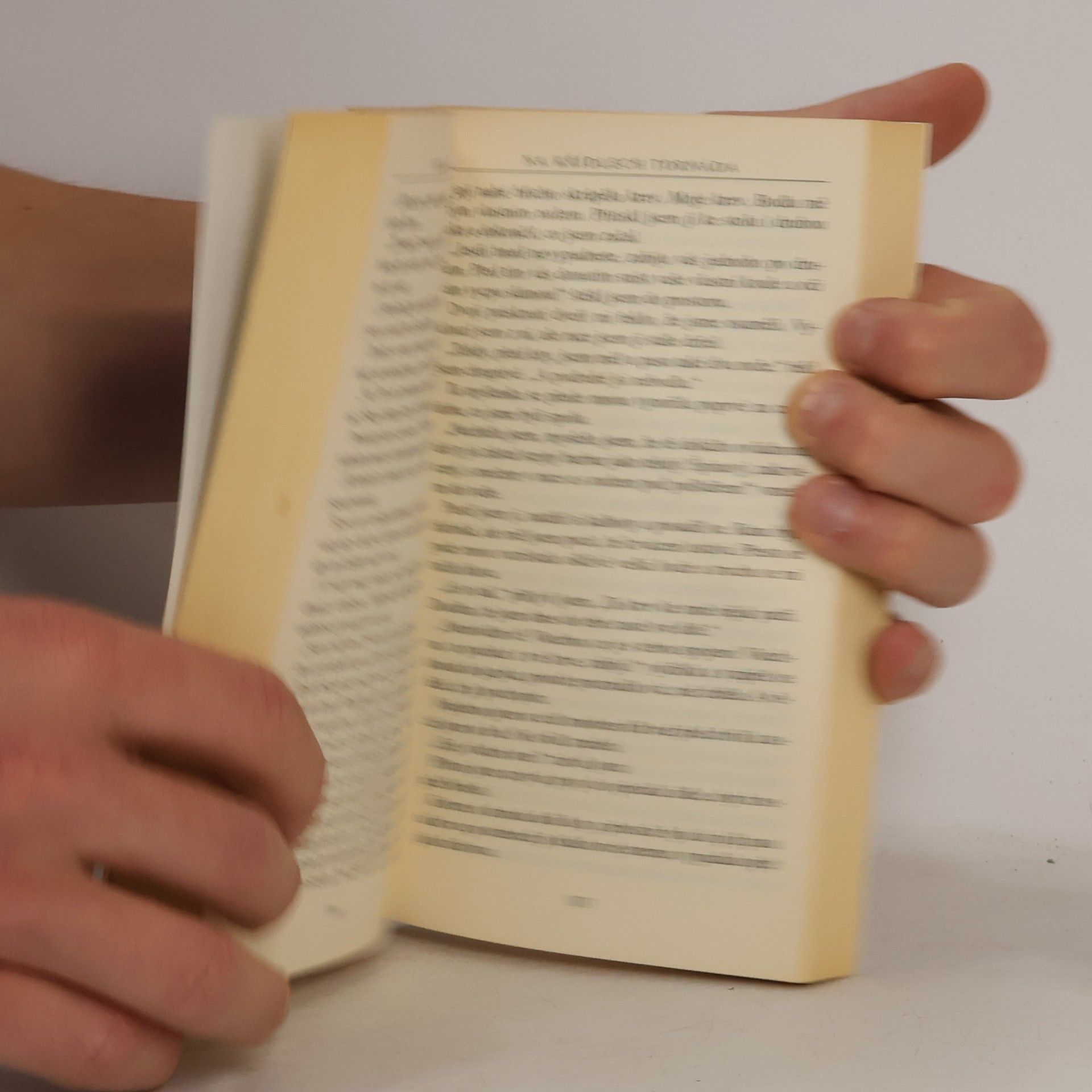 Miroslav Žamboch Na křídlech tornáda