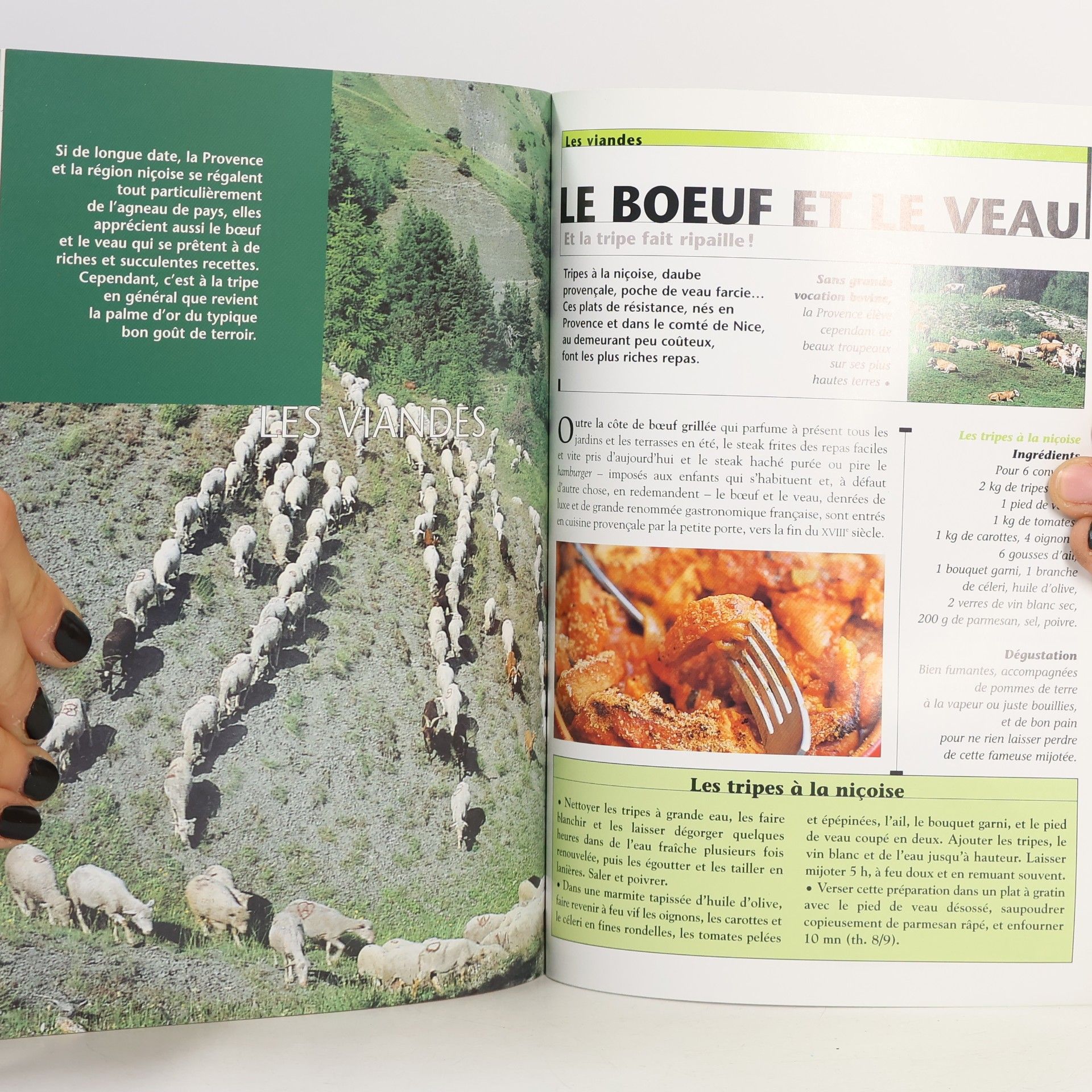 Marie Silvioni Recettes et produits