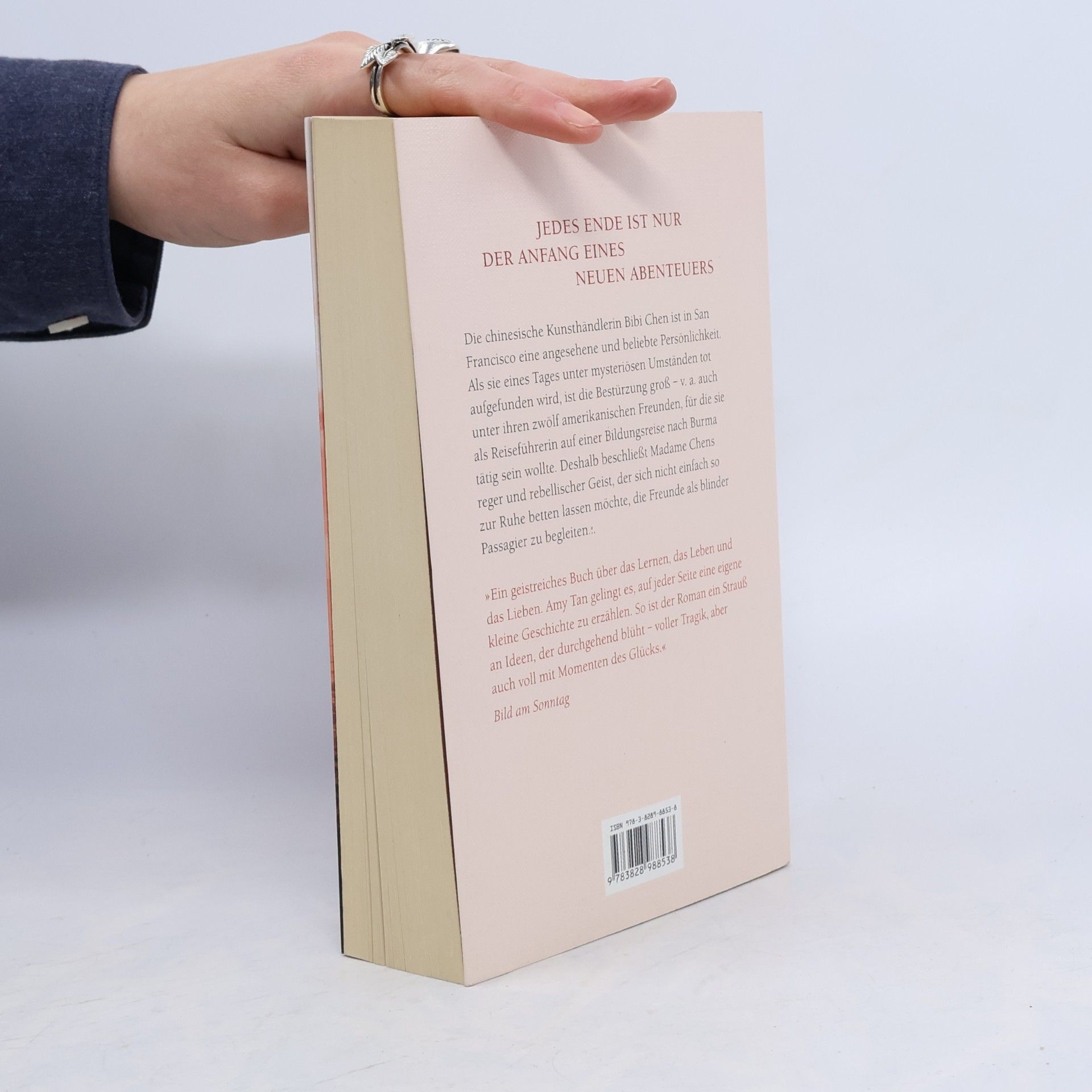 Amy Tan Der Geist der Madame Chen