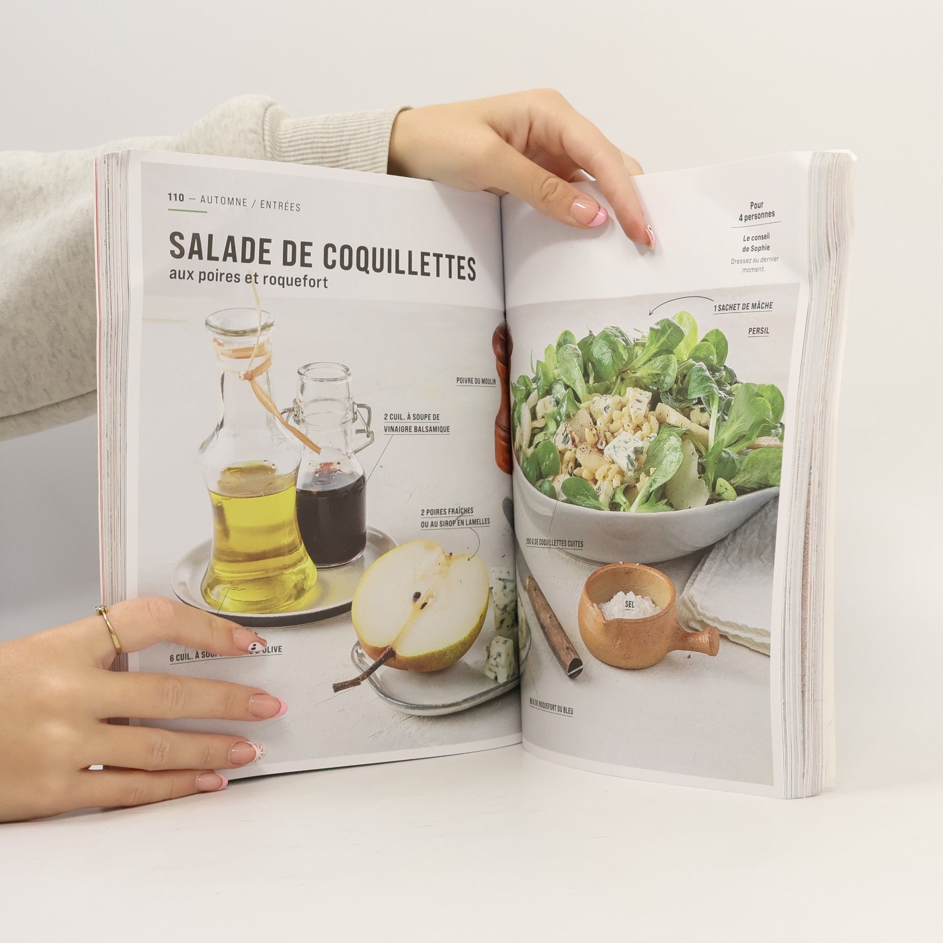 Sophie Dudemaine 100 recettes sans recettes