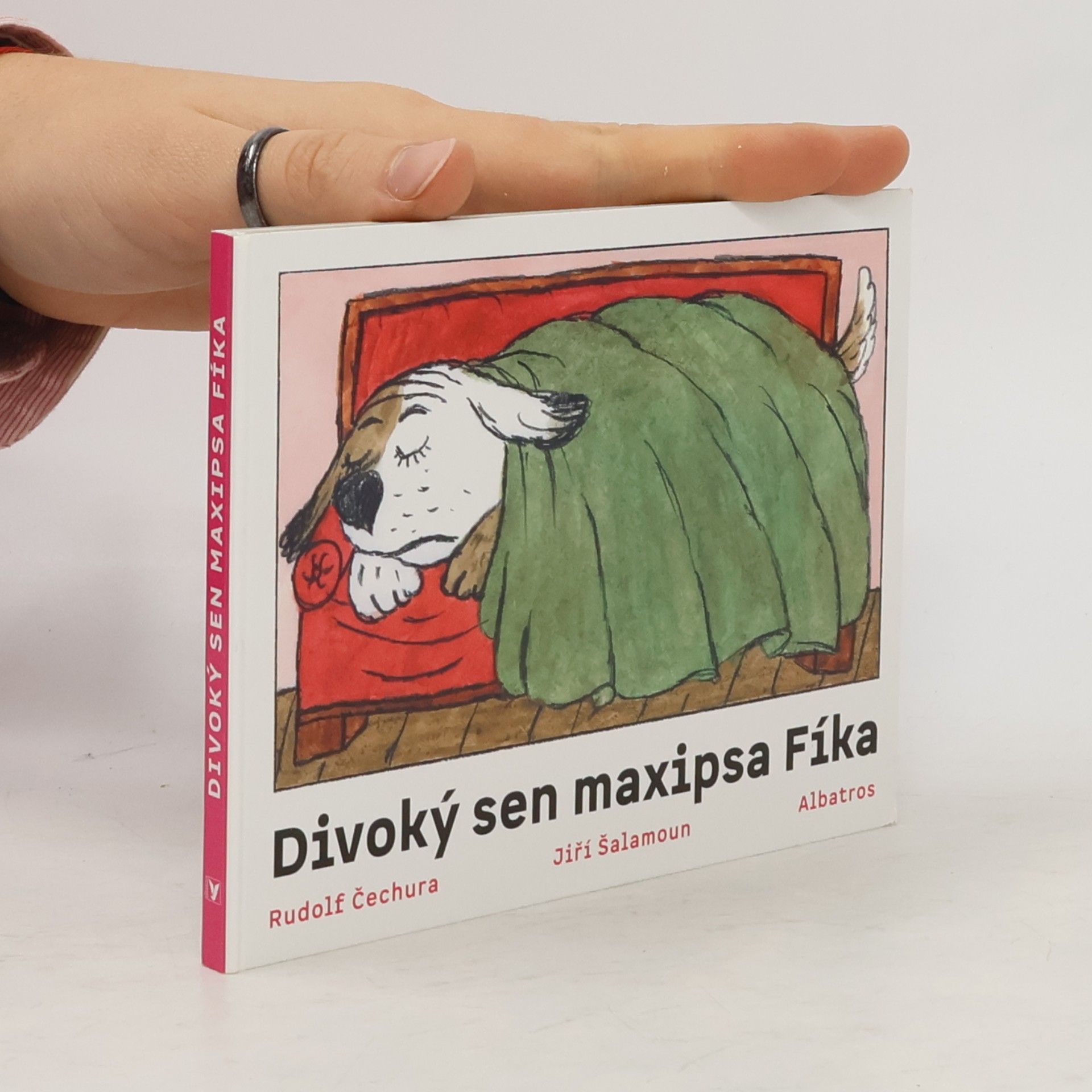 Divoký sen Maxipsa Fíka