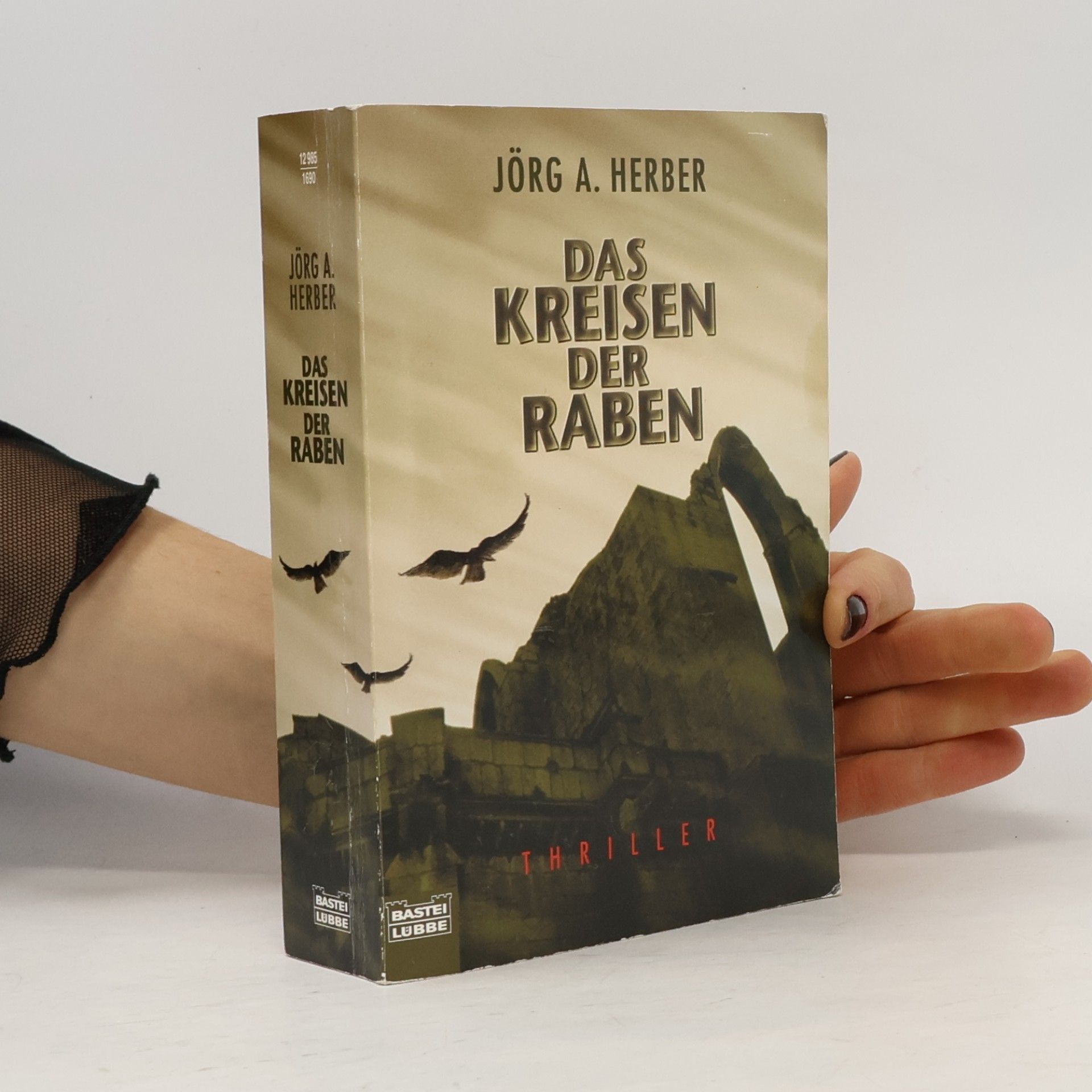 Jörg A. Herber Das Kreisen der Raben