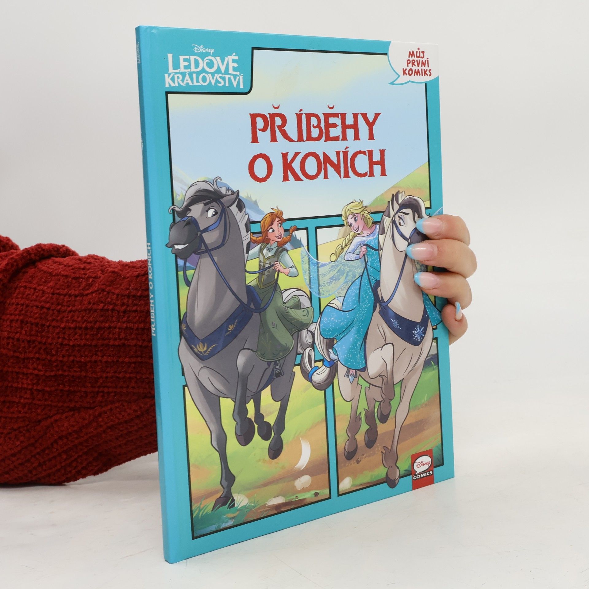 Autorenkollektiv Ledové království - Příběhy o koních