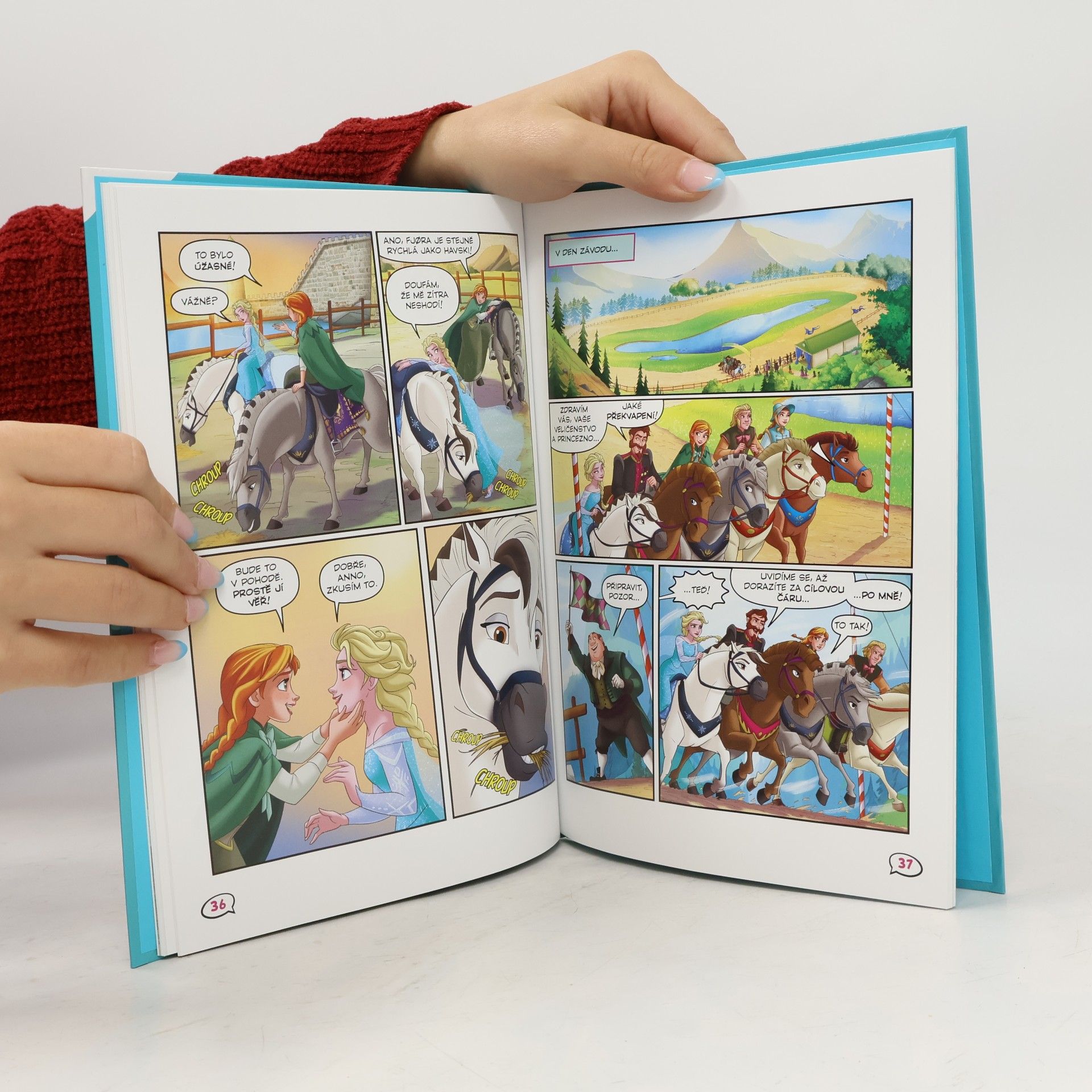 Autorenkollektiv Ledové království - Příběhy o koních