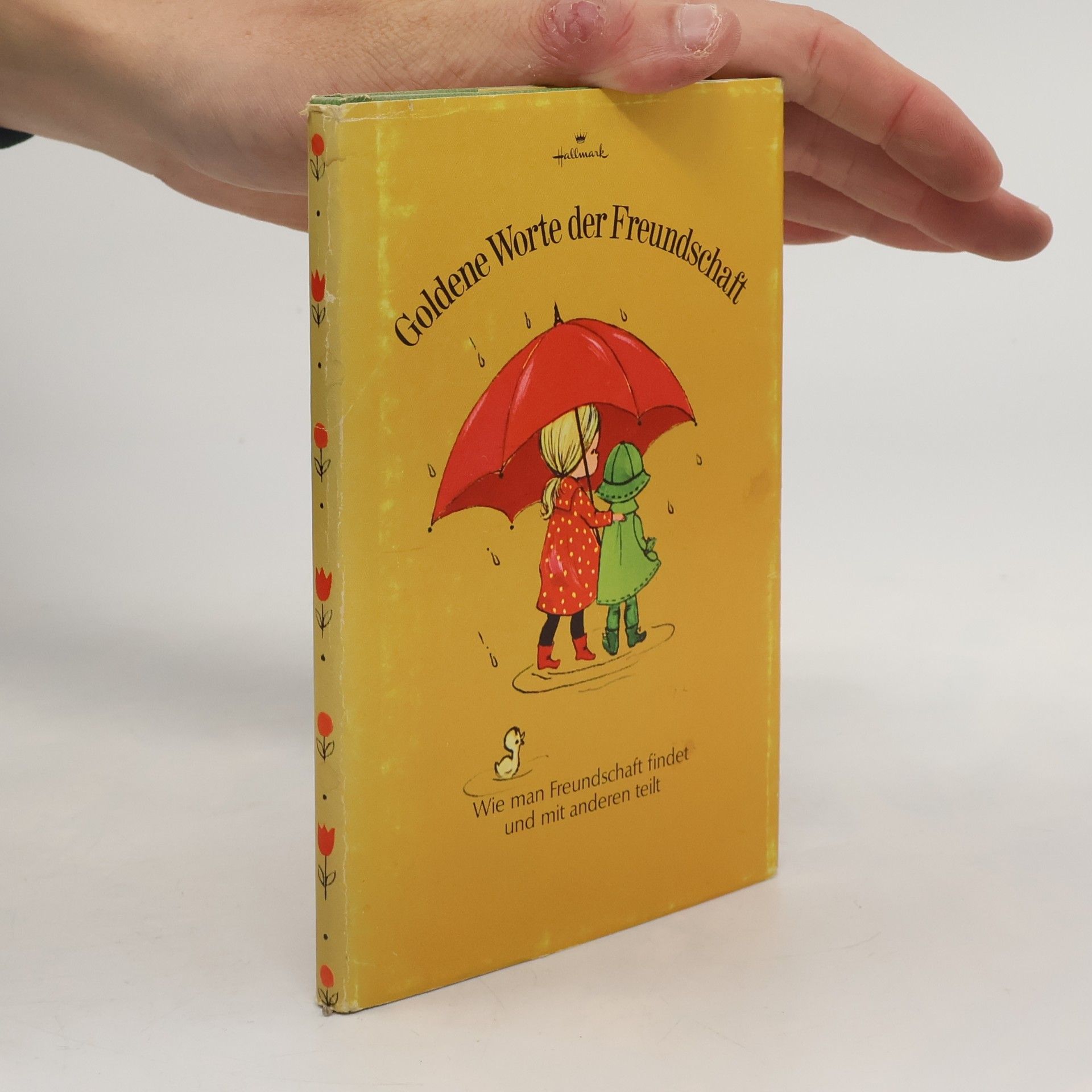Gail Mahan Goldene Worte der Freundschaft