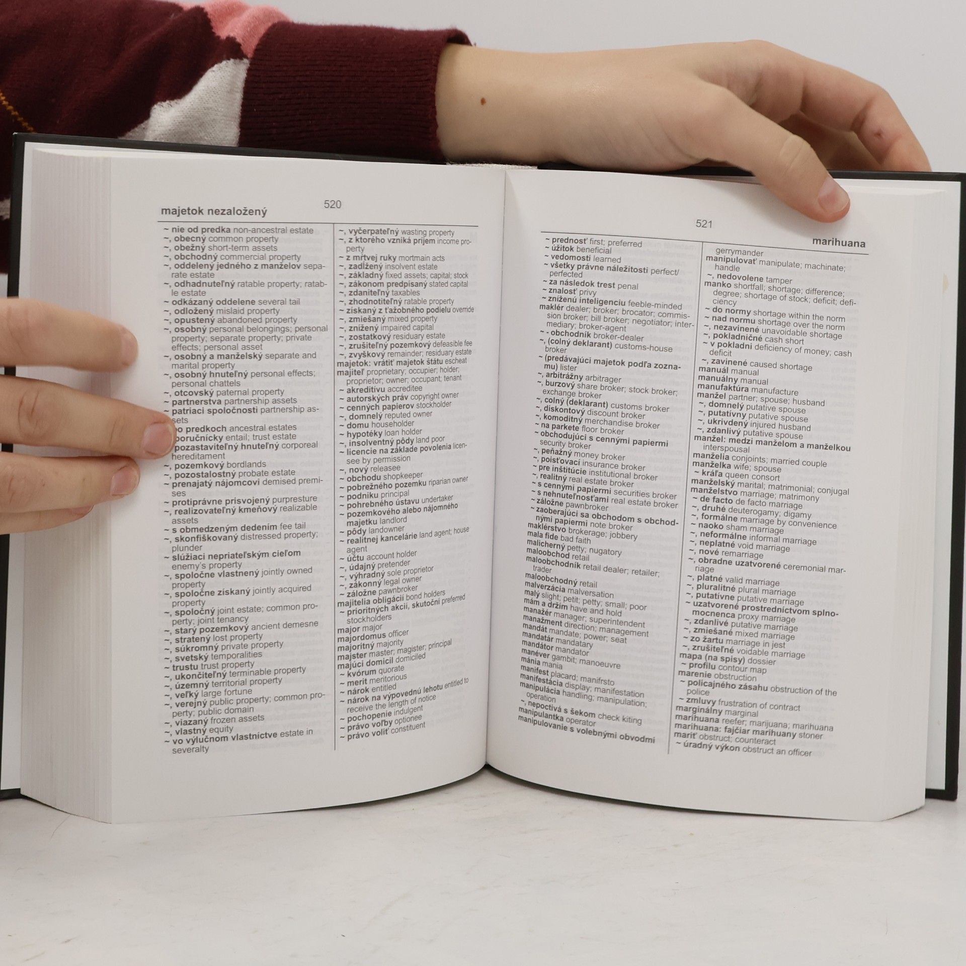 Ivica Chorvátová Právnický slovník. Dictionary of Law