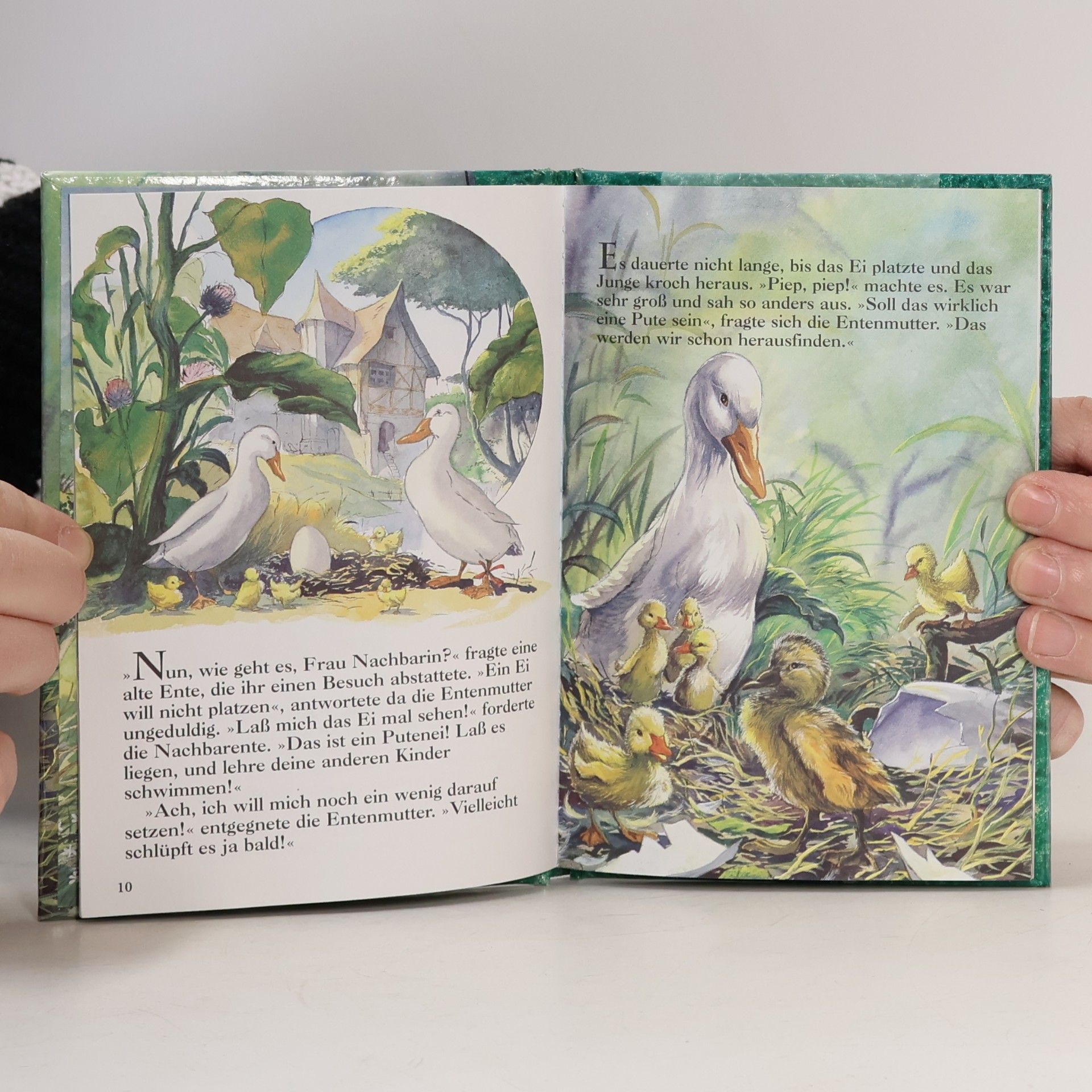 Hans Christian Andersen Das Hässliche Junge Entlein