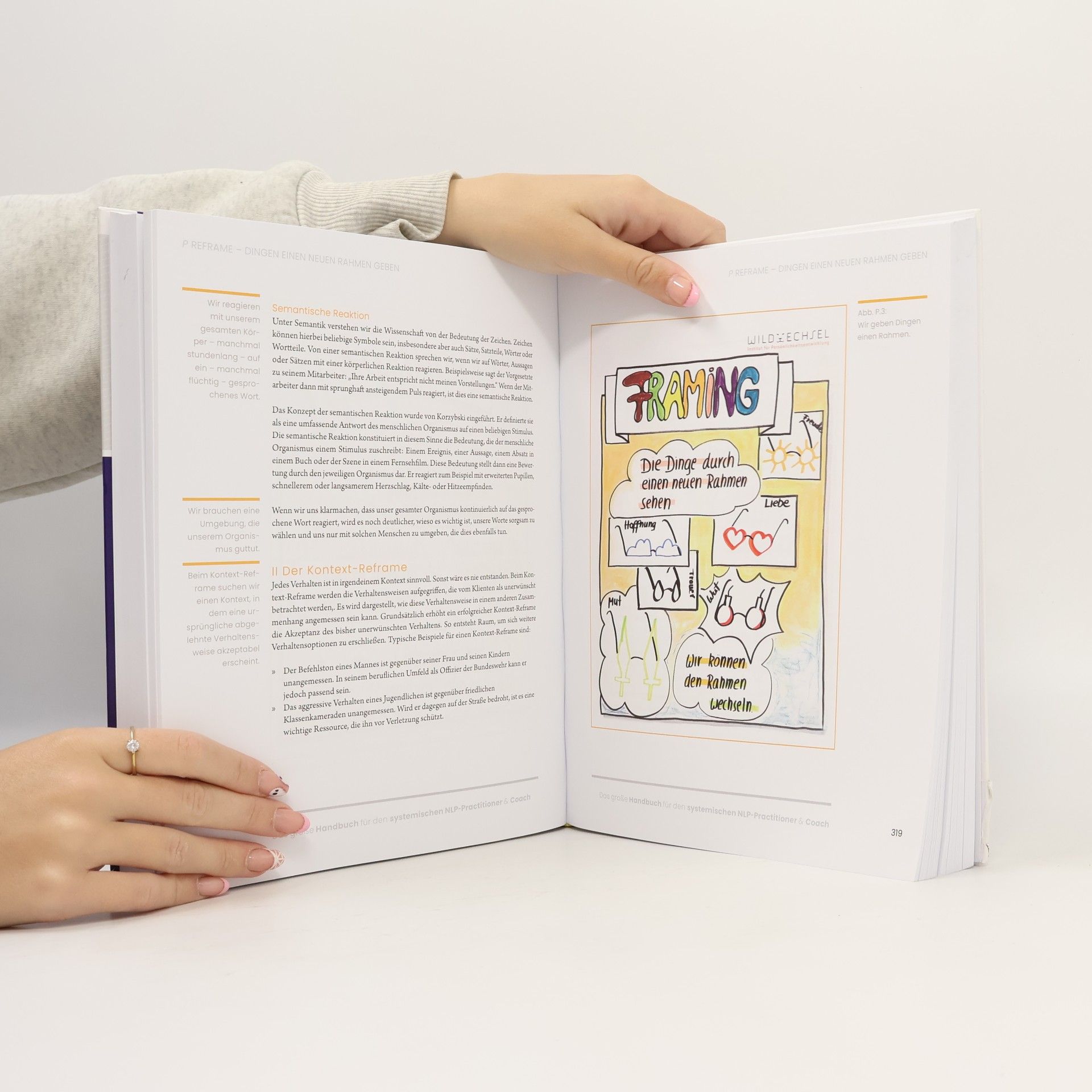 Dr. Susanne Lapp Das große Handbuch für den systemischen NLP-Practitioner & Coach