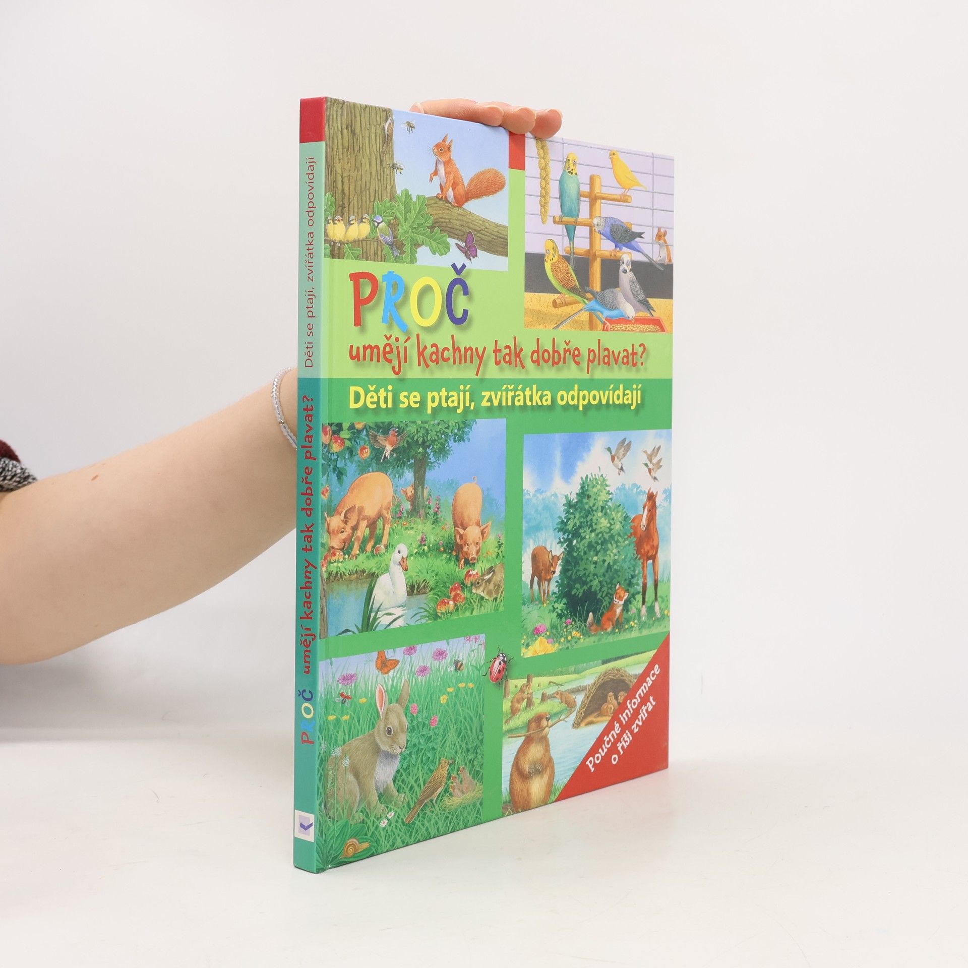 Various authors Proč umějí kachny tak dobře plavat? Děti se ptají, zvířátka odpovídají