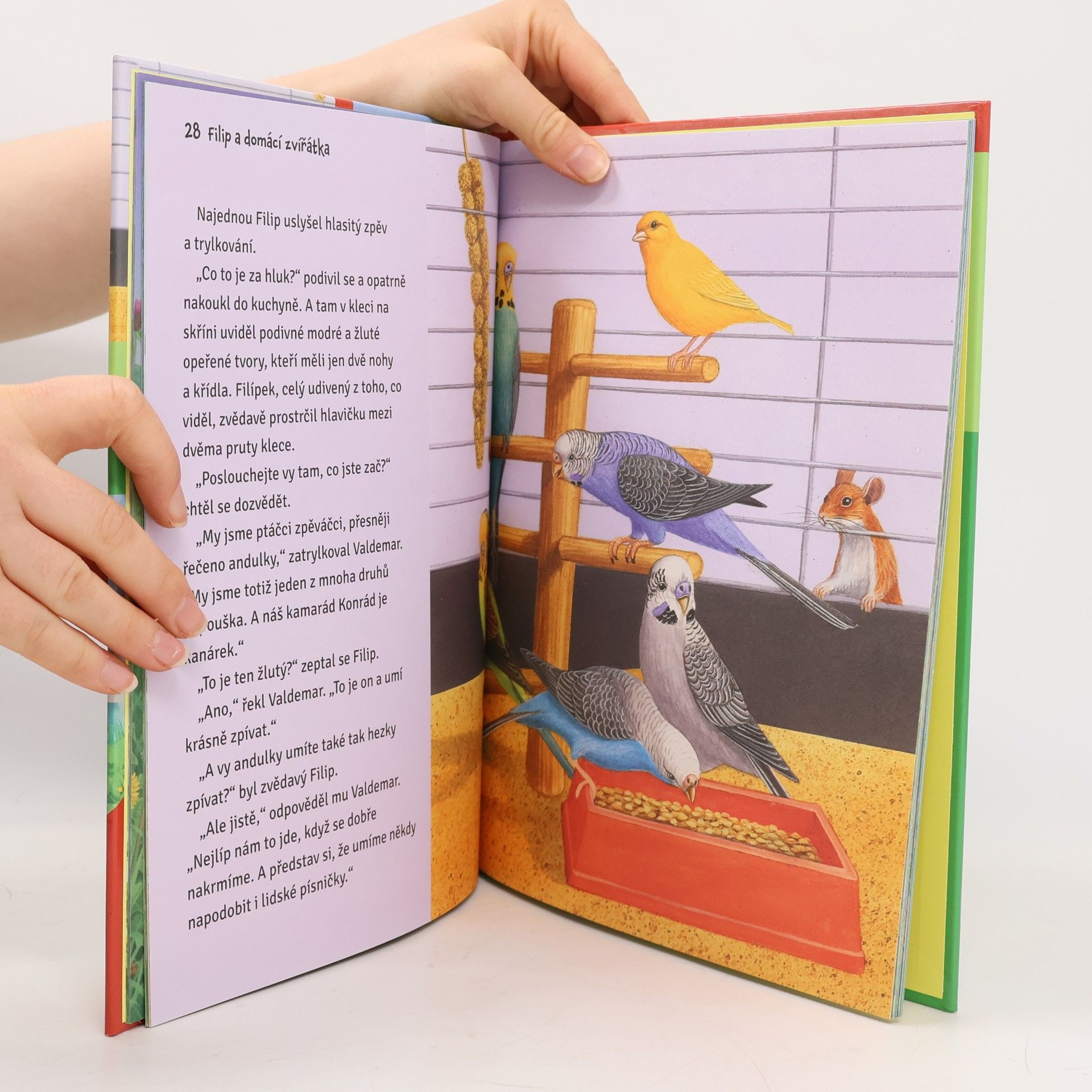Various authors Proč umějí kachny tak dobře plavat? Děti se ptají, zvířátka odpovídají
