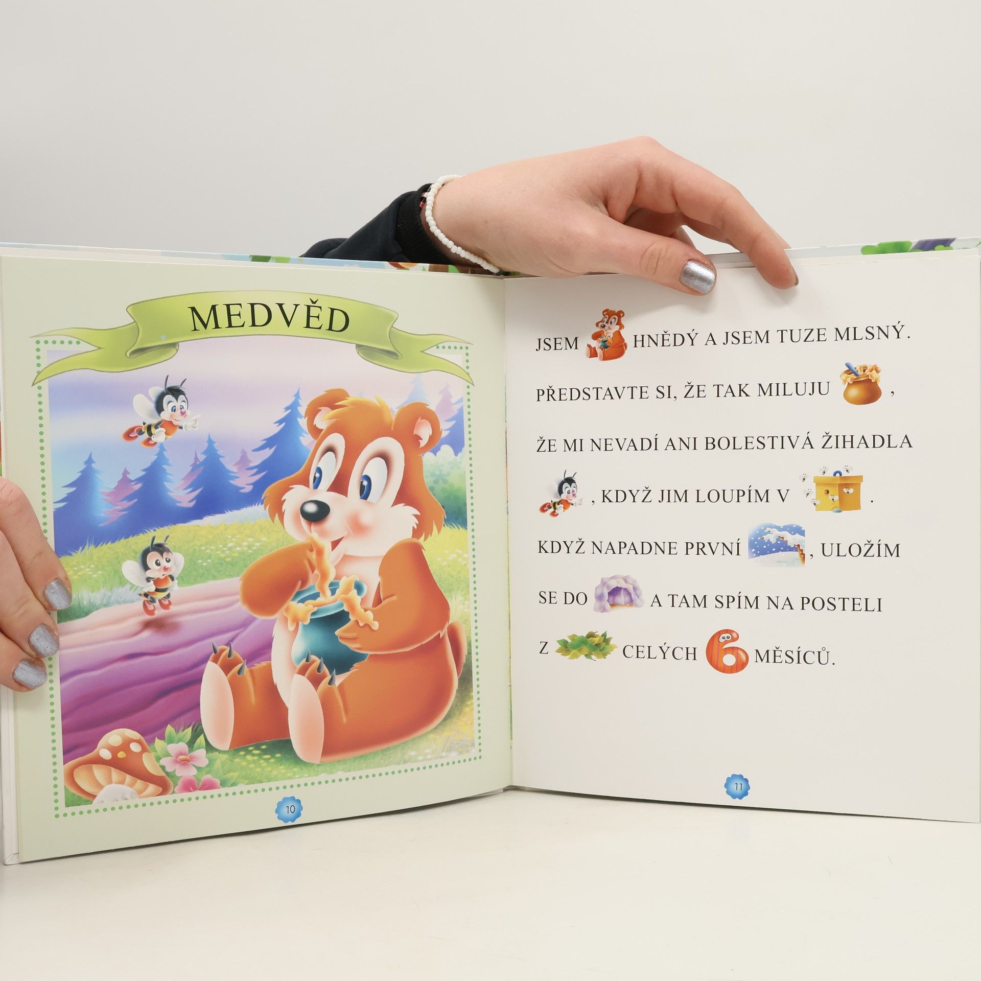 Various authors Zvířátka v lese - Obrázkové první čtení