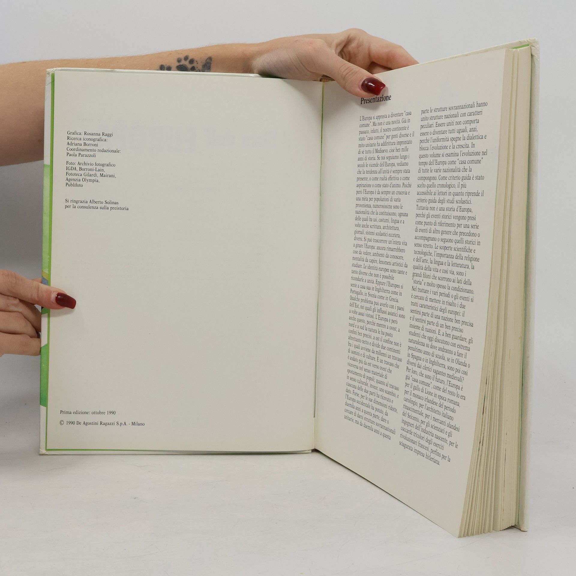 Kolektiv autorů Il libro dell' Europa