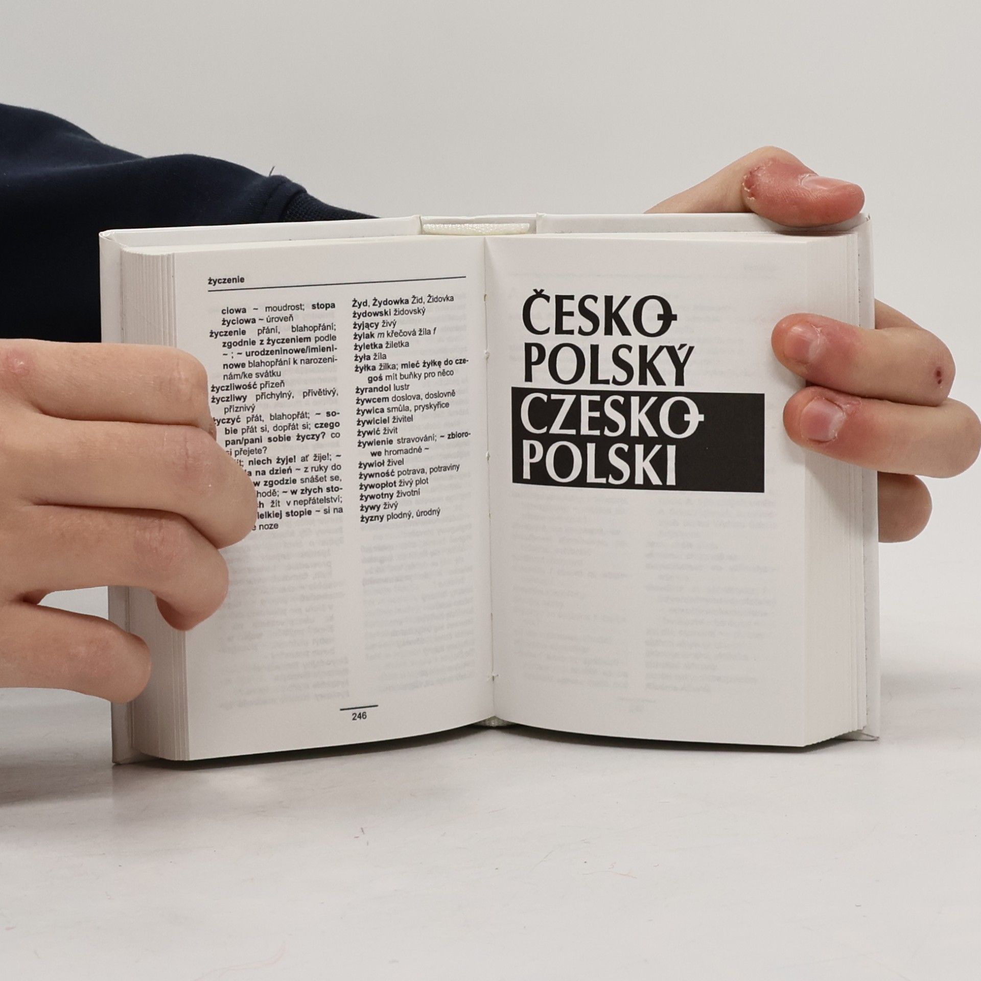 Vladimír Uchytil Polsko-český, česko-polský slovník