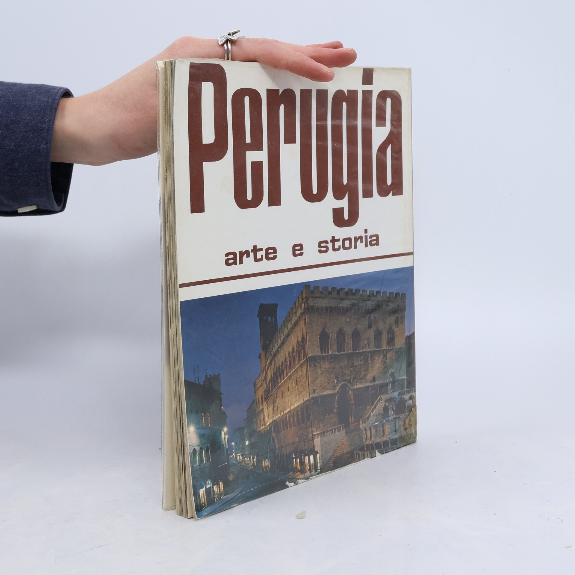 Kolektiv autorů Perugia