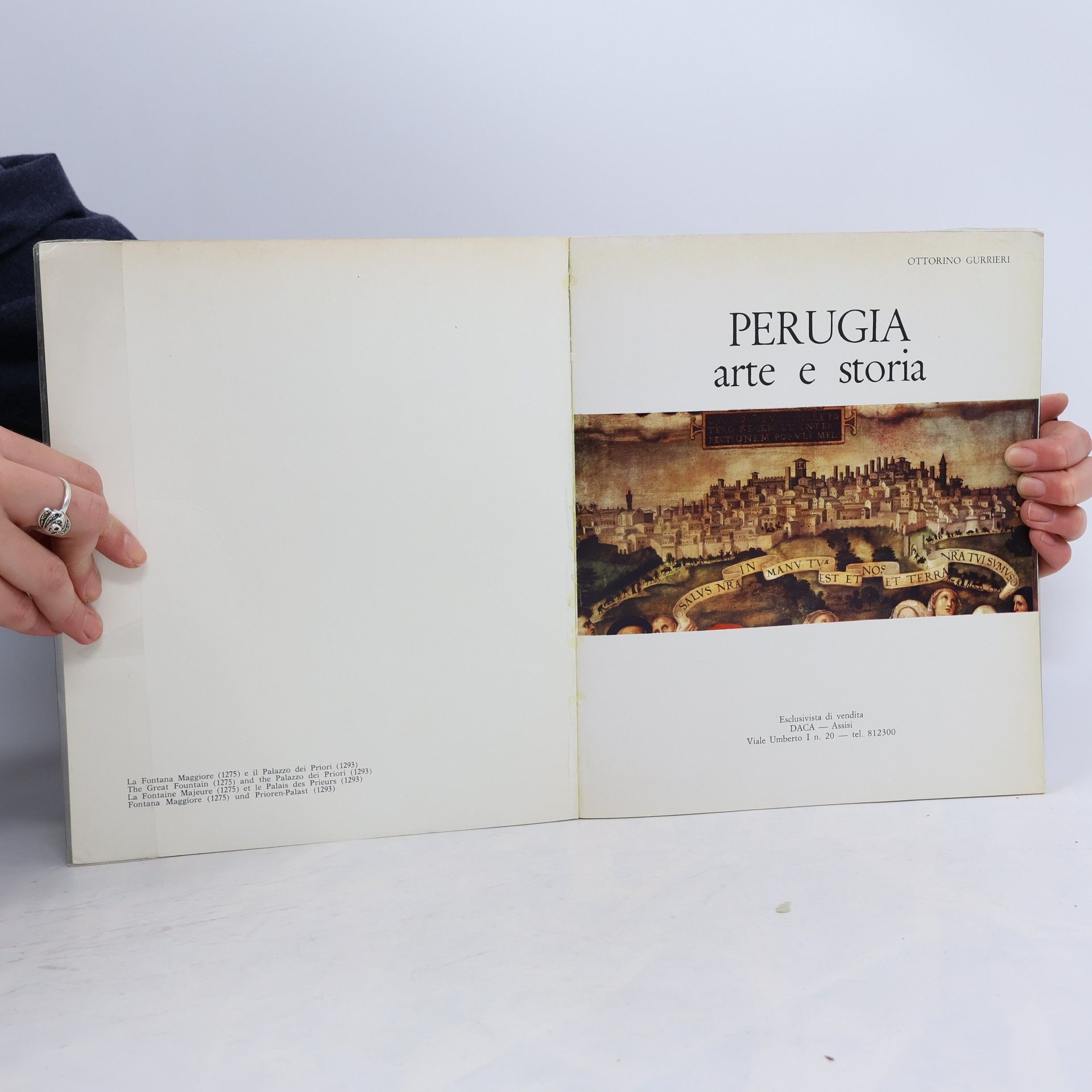 Kolektiv autorů Perugia