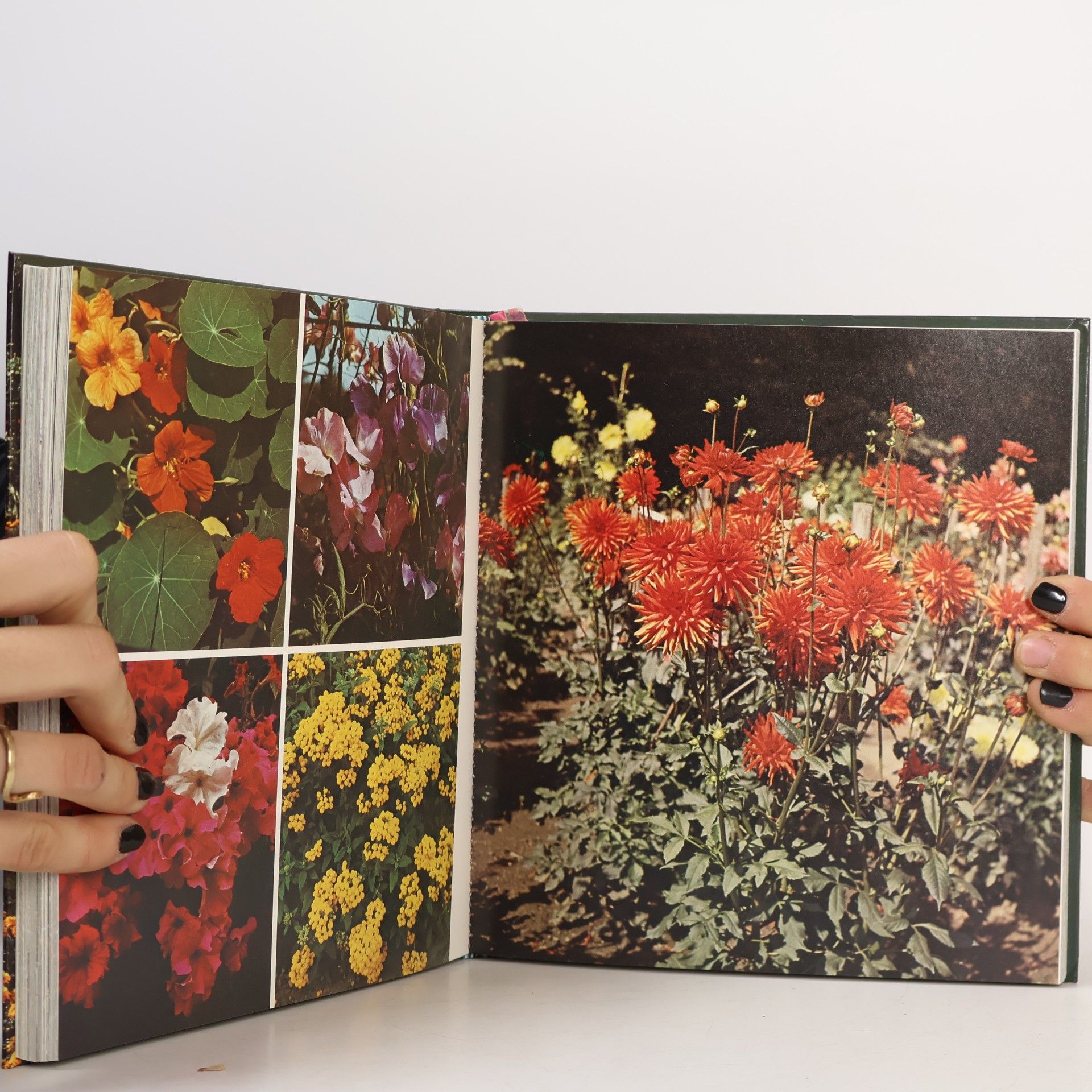 Autorenkollektiv Gartenbuch