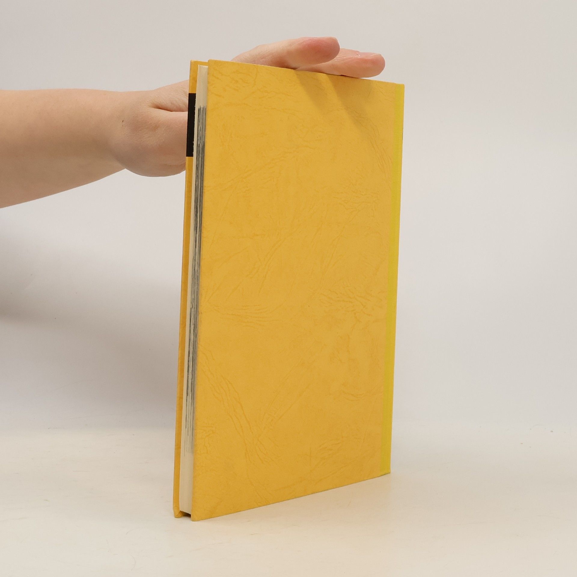 kolektiv Lehrbuch der Handarbeiten aus Wolle. Band 2