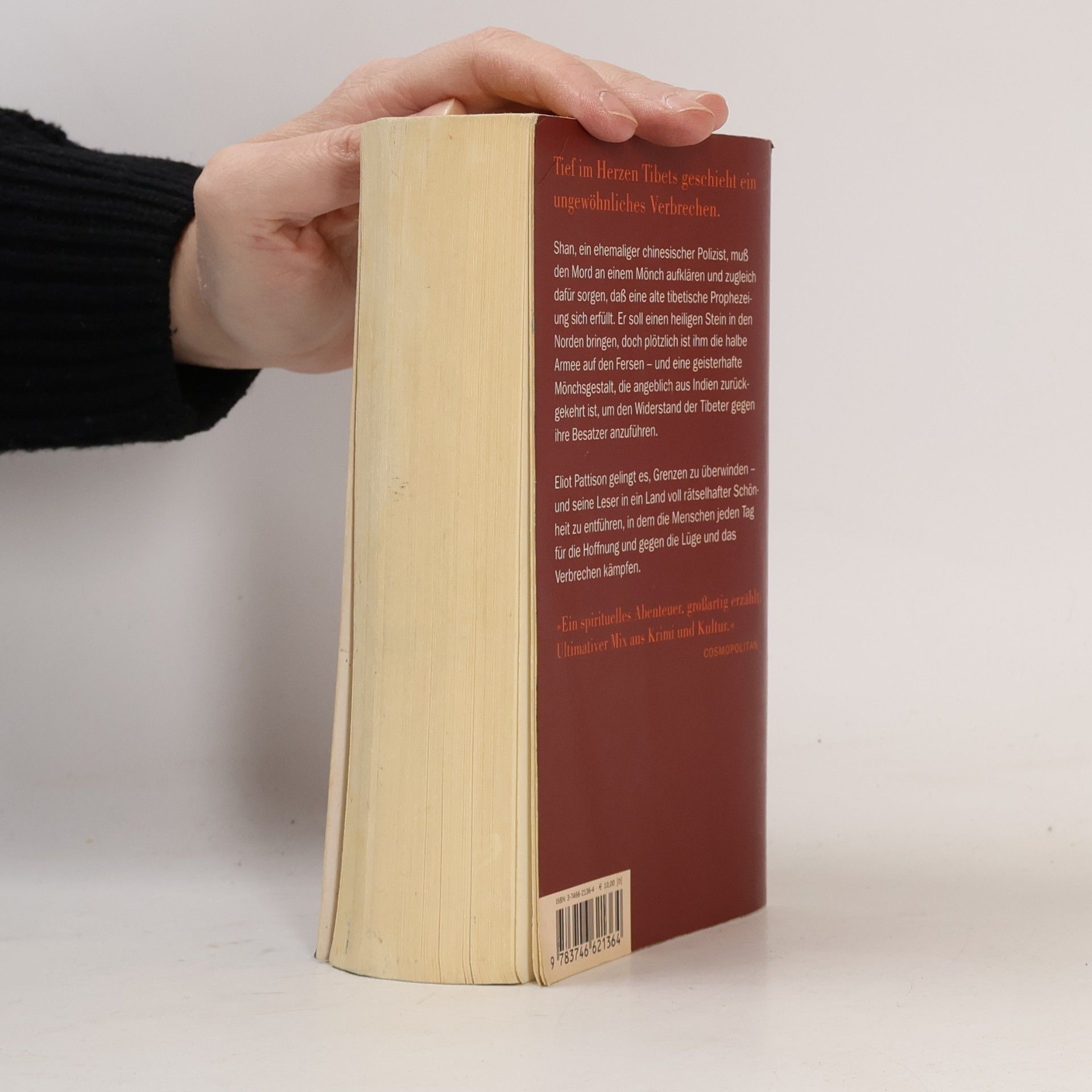 Eliot Pattison Das tibetische Orakel