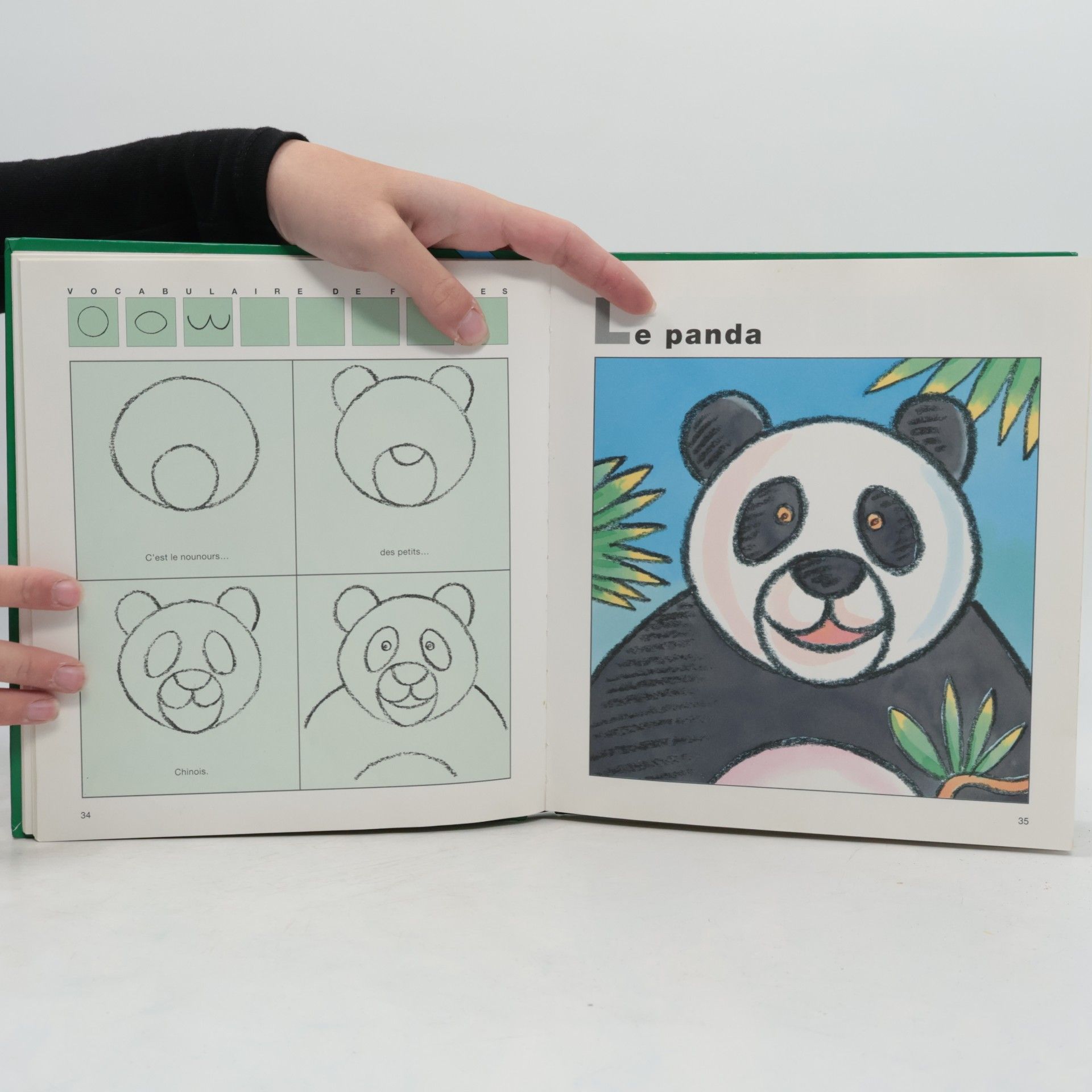 Philippe Legendre J'apprends à dessiner les animaux lointains