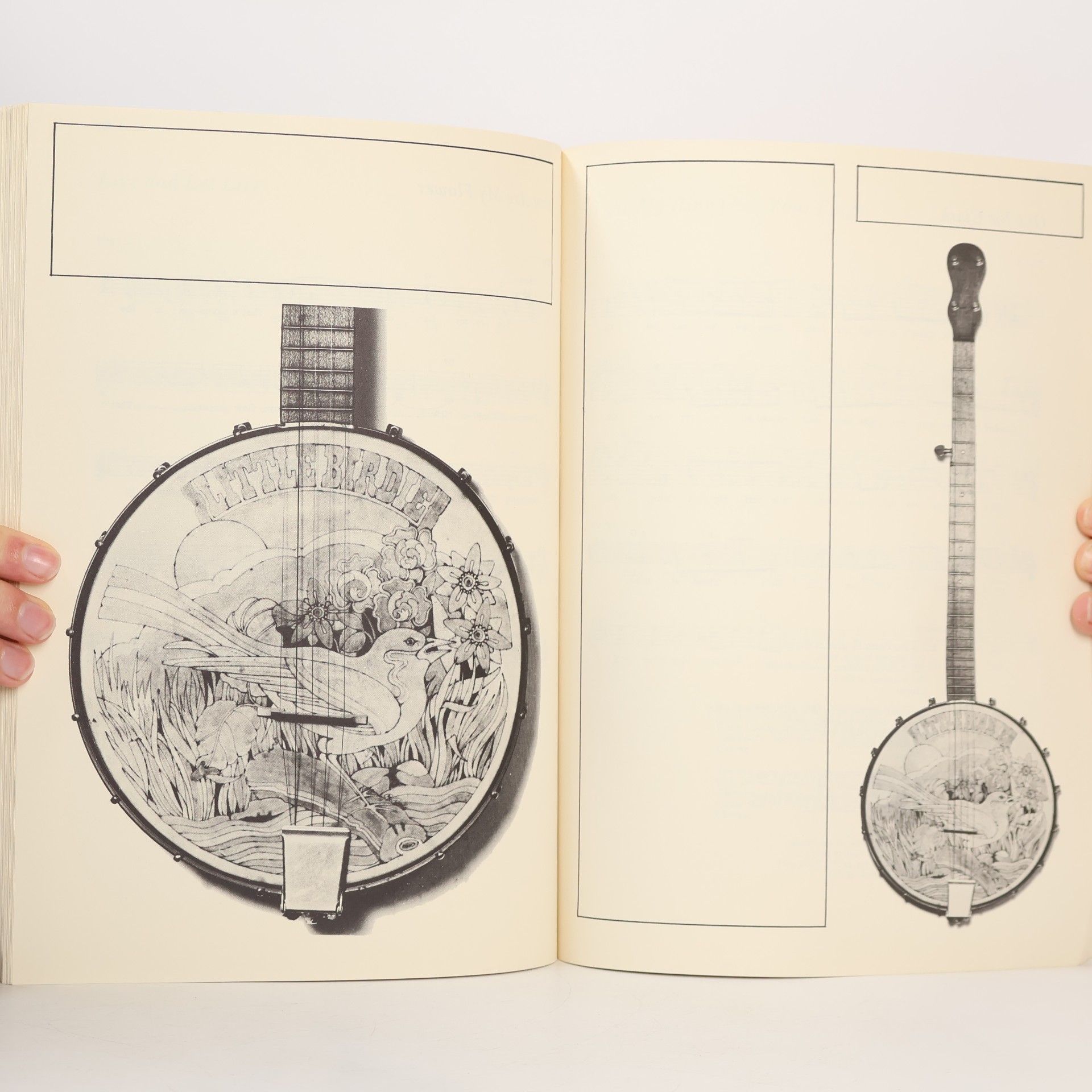 Dennis Cyporyn The Bluegrass Songbook