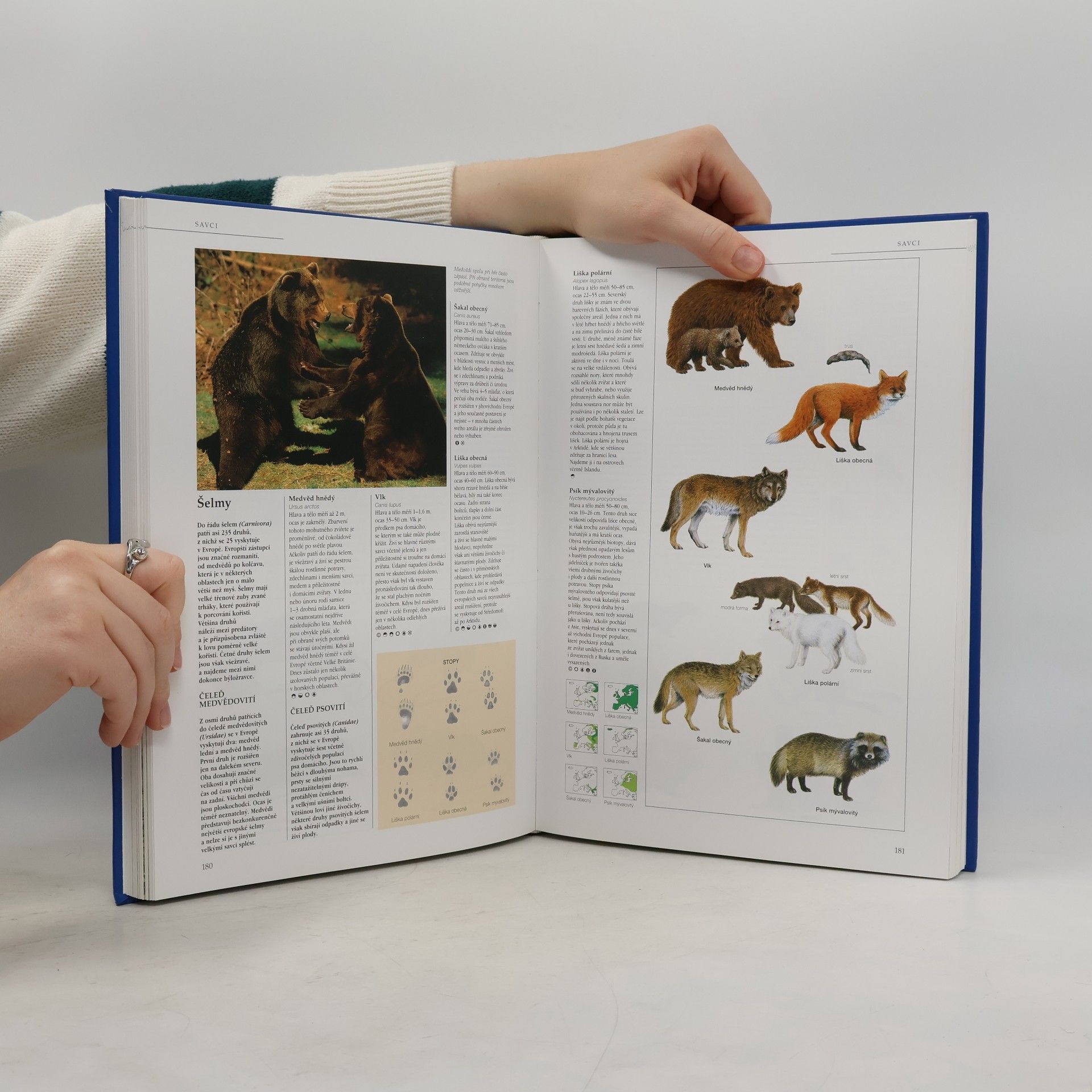 Michael Chinery Flóra a fauna Evropy