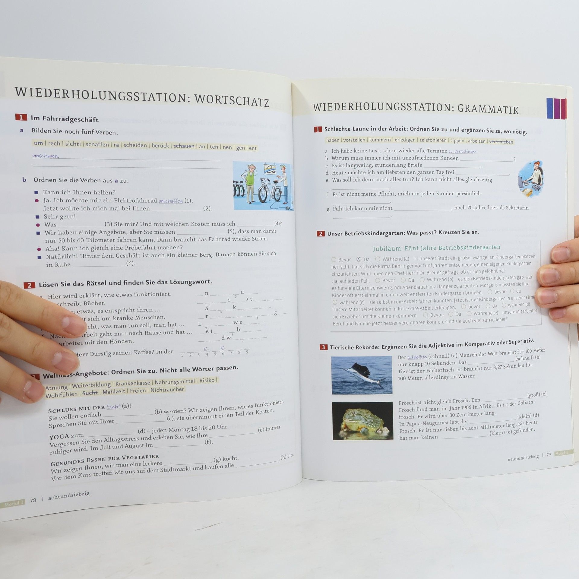 Anna Breitsameter Menschen B1.1 : Arbeitsbuch