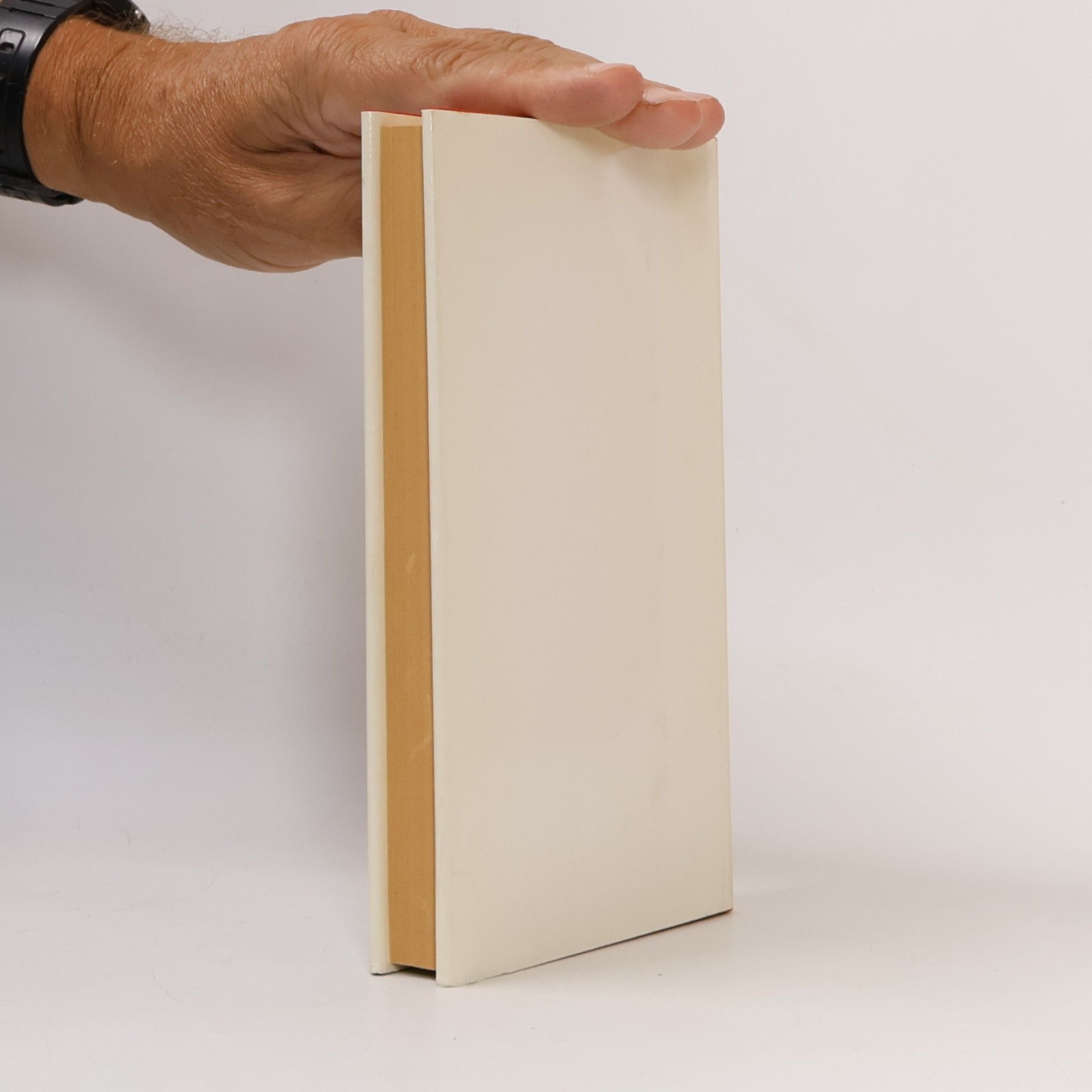 Heinz Knobloch Stäubchen aufwirbeln : Feuilletons