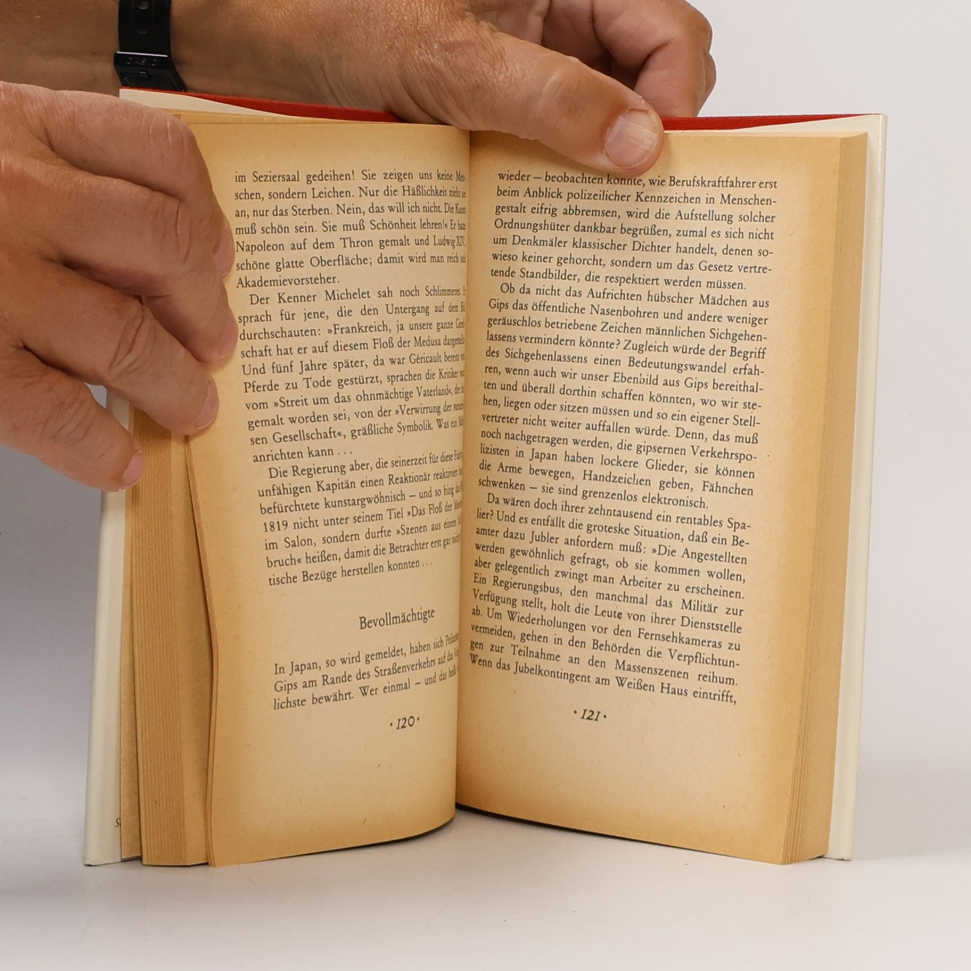 Heinz Knobloch Stäubchen aufwirbeln : Feuilletons